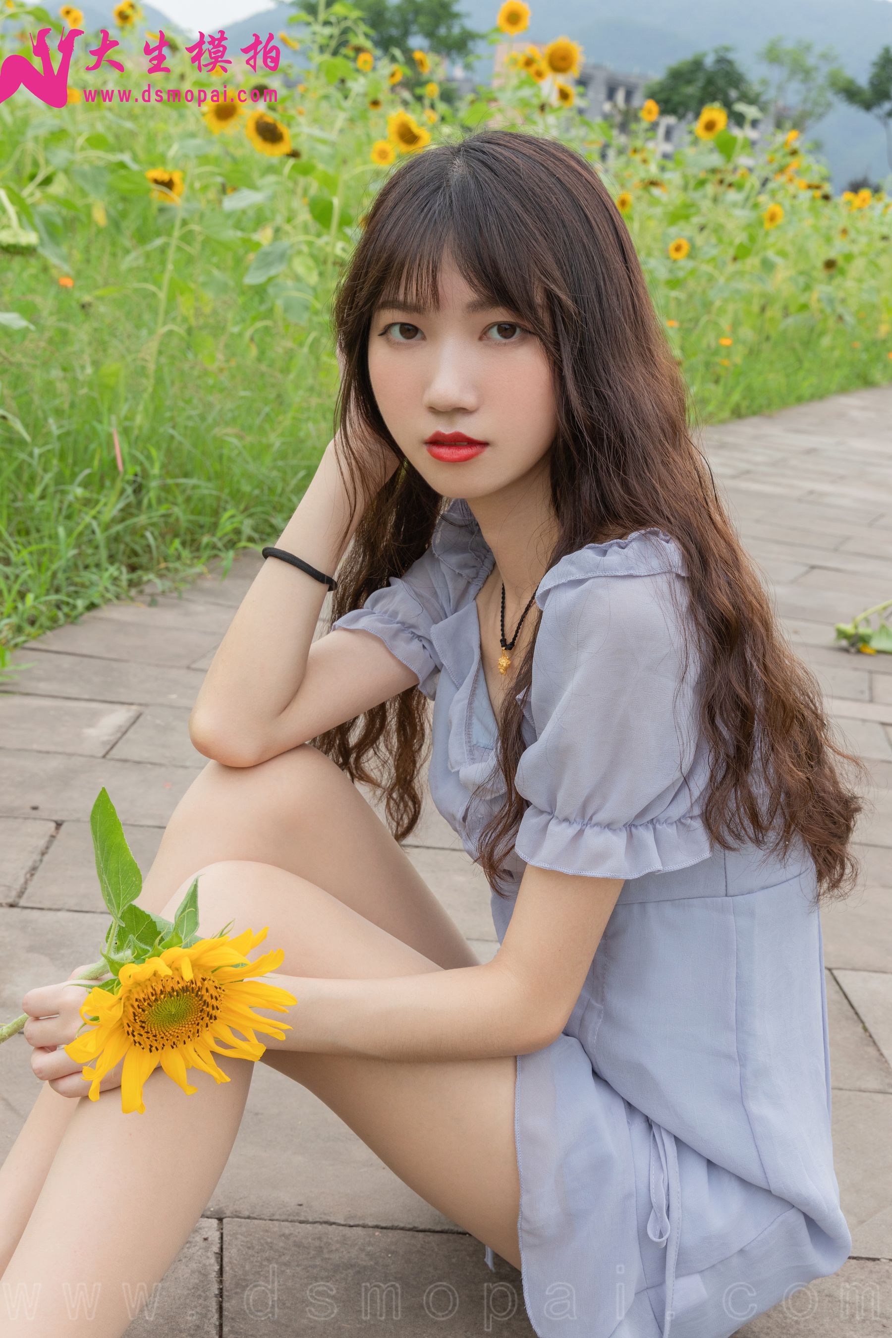 No.240 婉欣 向日葵女孩-图19