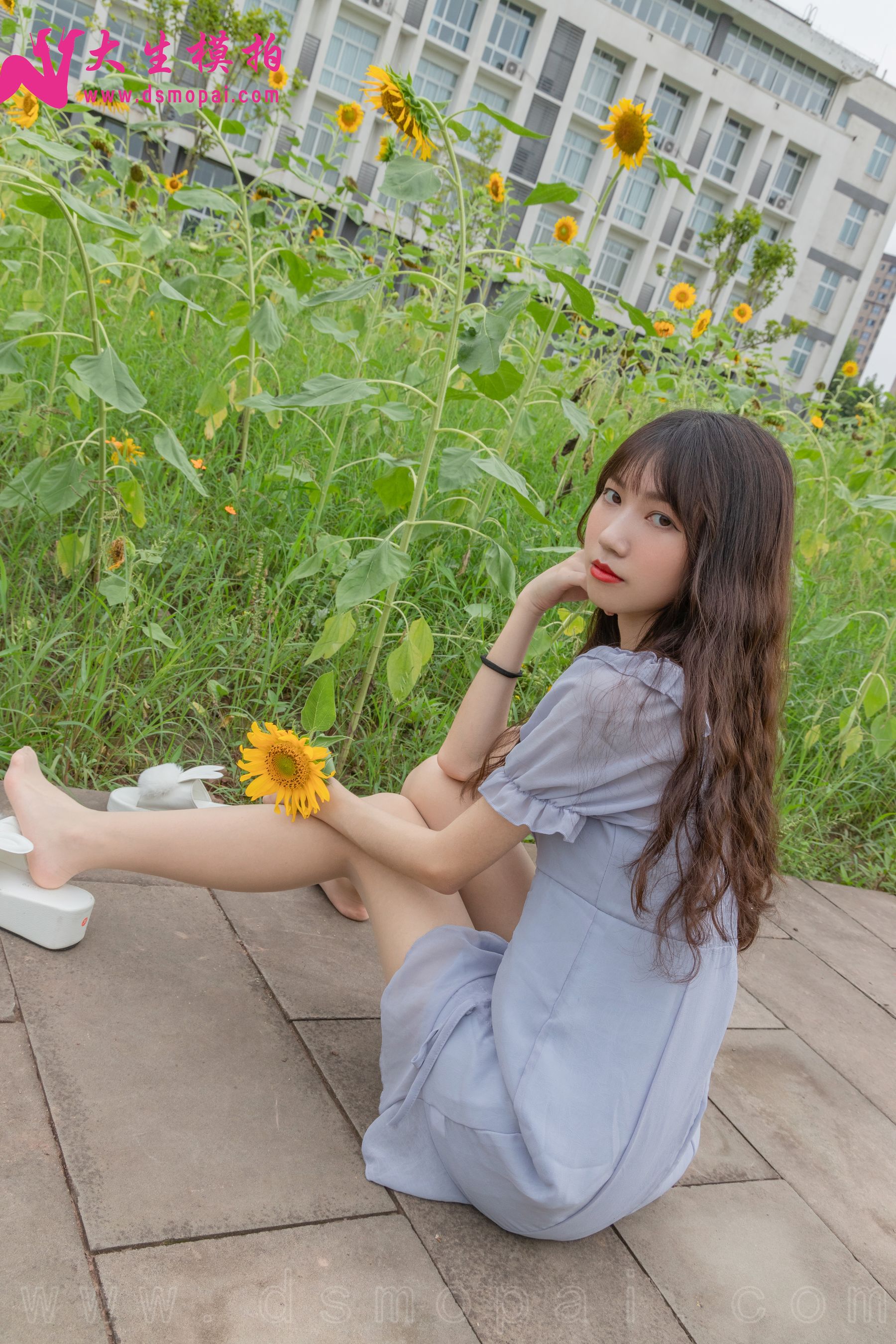 No.240 婉欣 向日葵女孩-图25