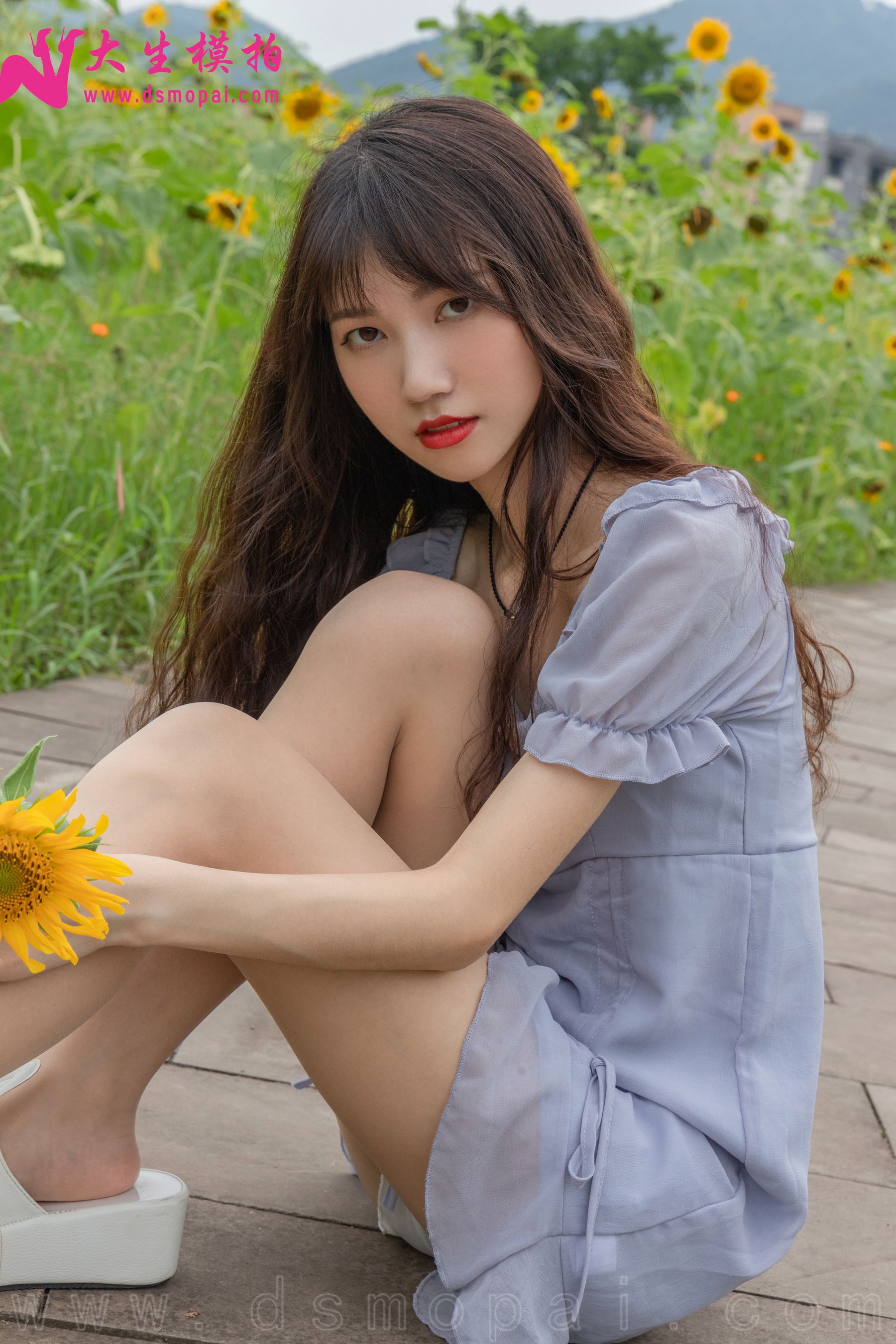 No.240 婉欣 向日葵女孩-图27