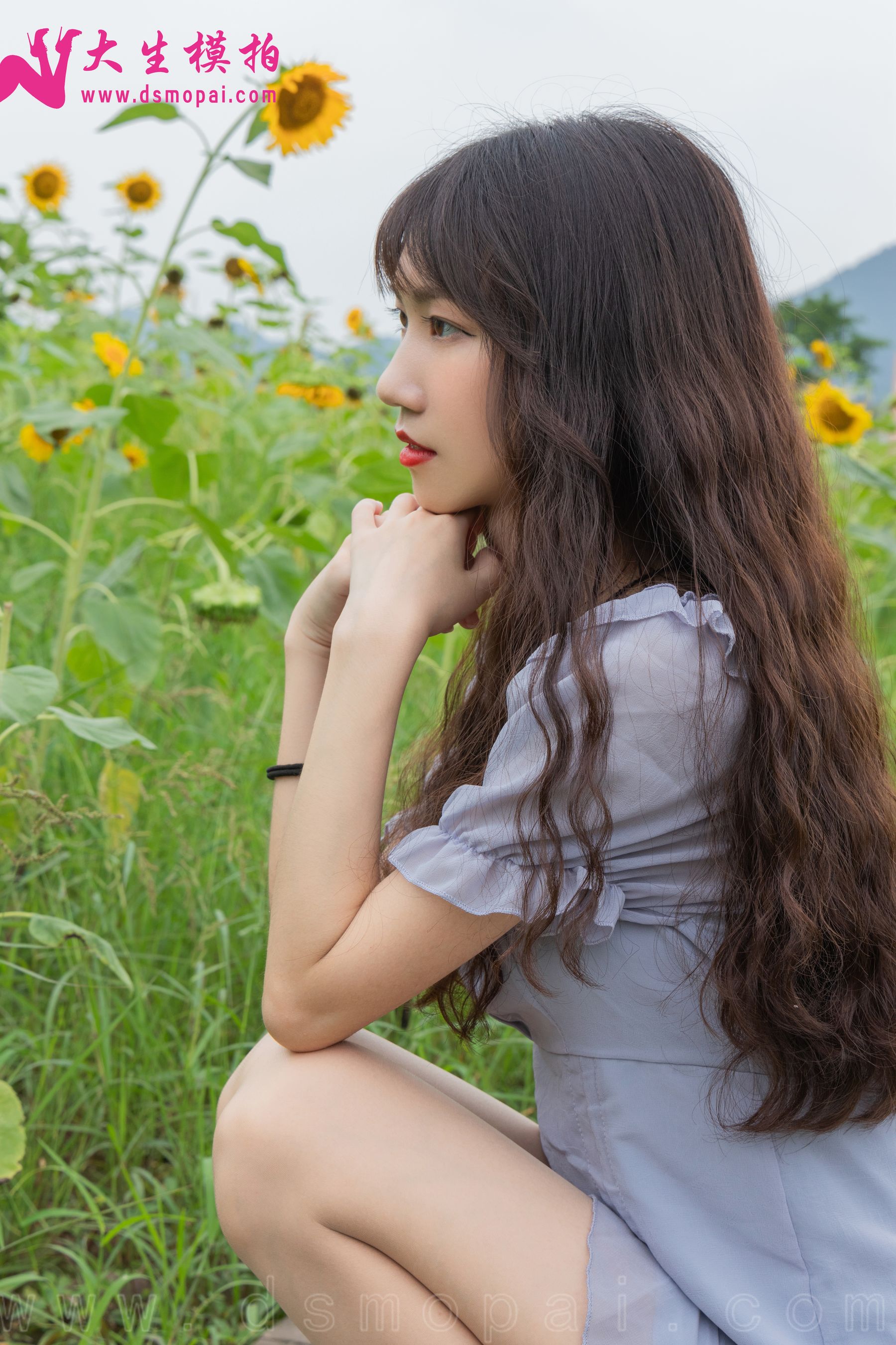 No.240 婉欣 向日葵女孩-图2