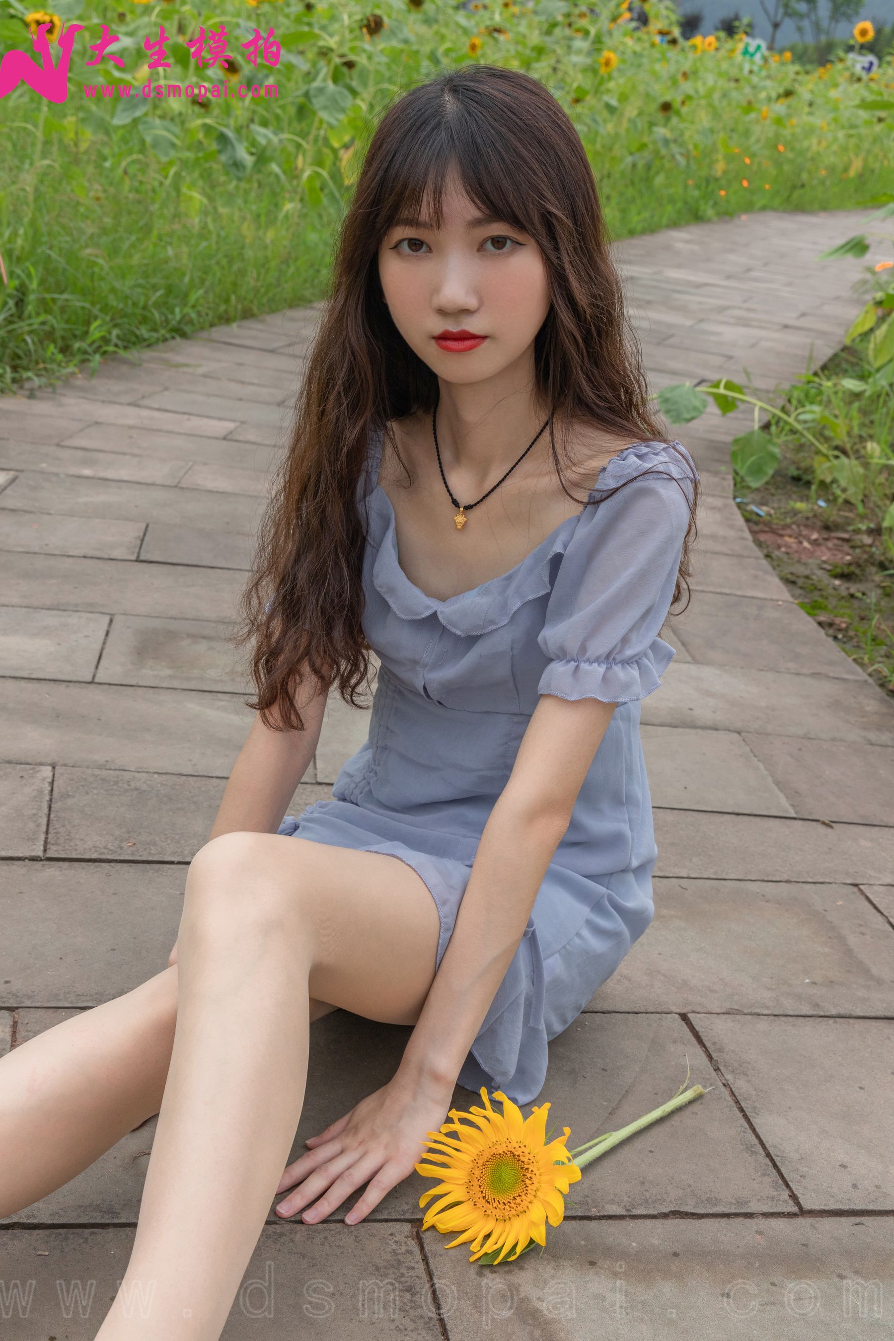 No.240 婉欣 向日葵女孩-图33