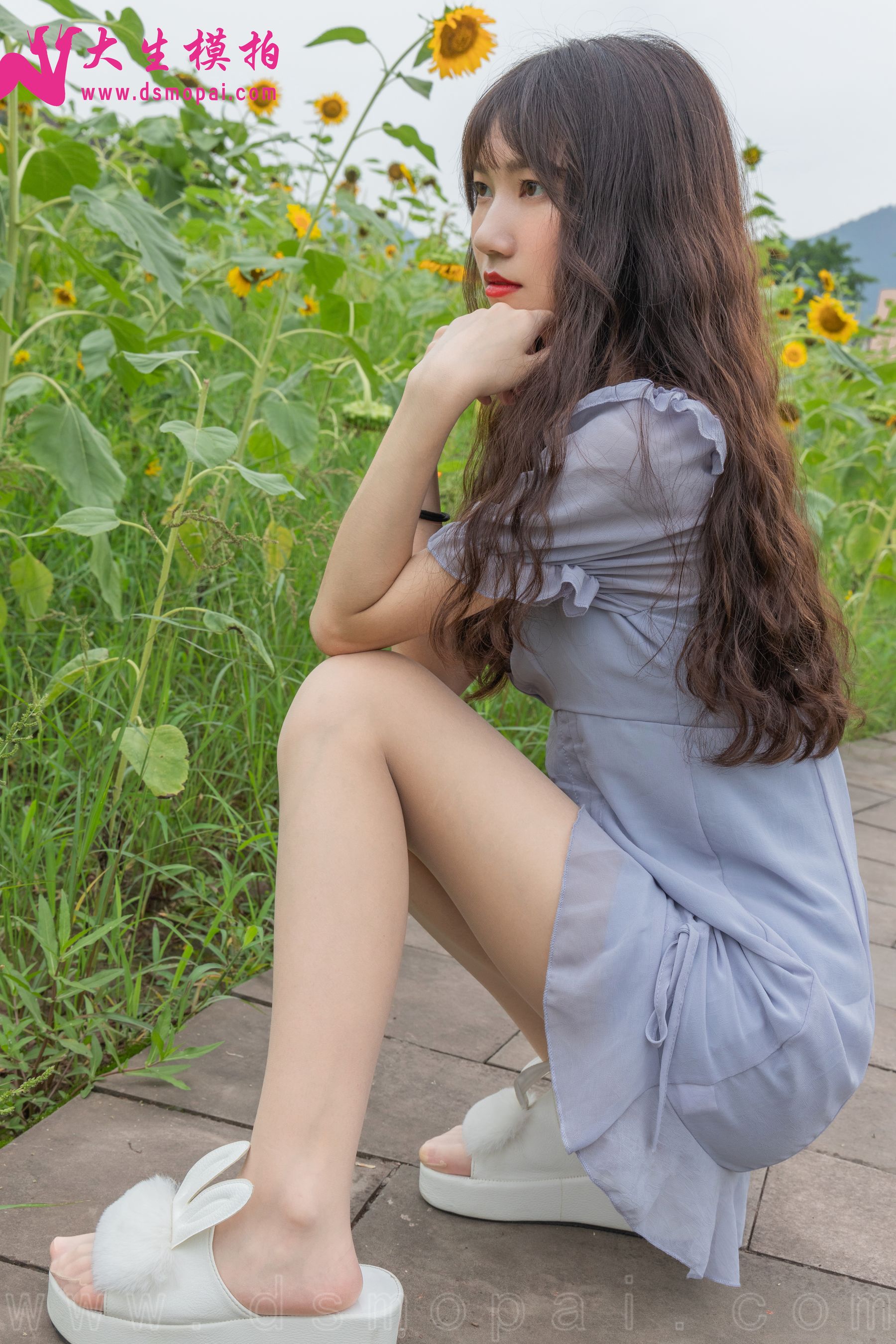 No.240 婉欣 向日葵女孩-图3