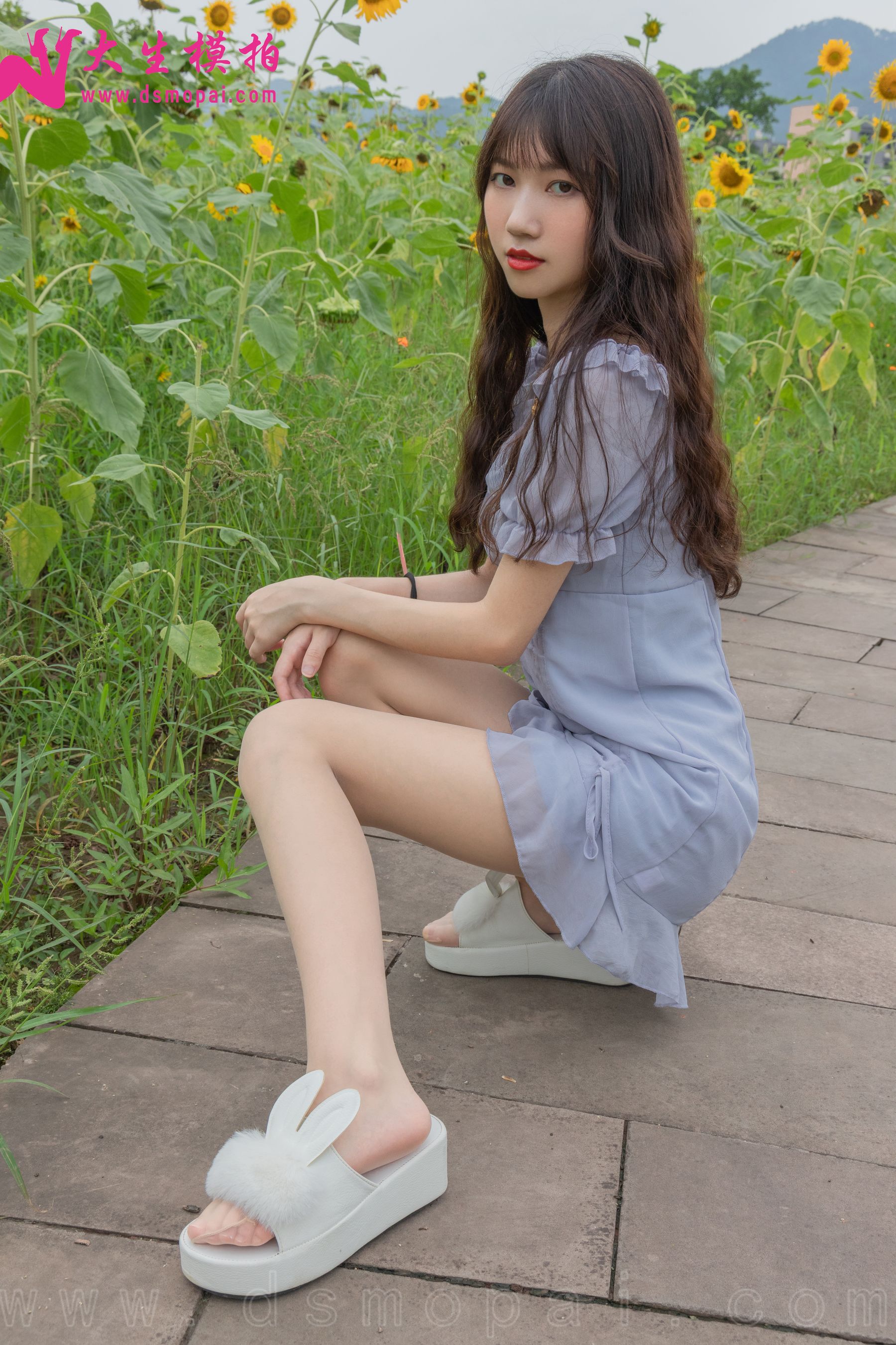 No.240 婉欣 向日葵女孩-图4