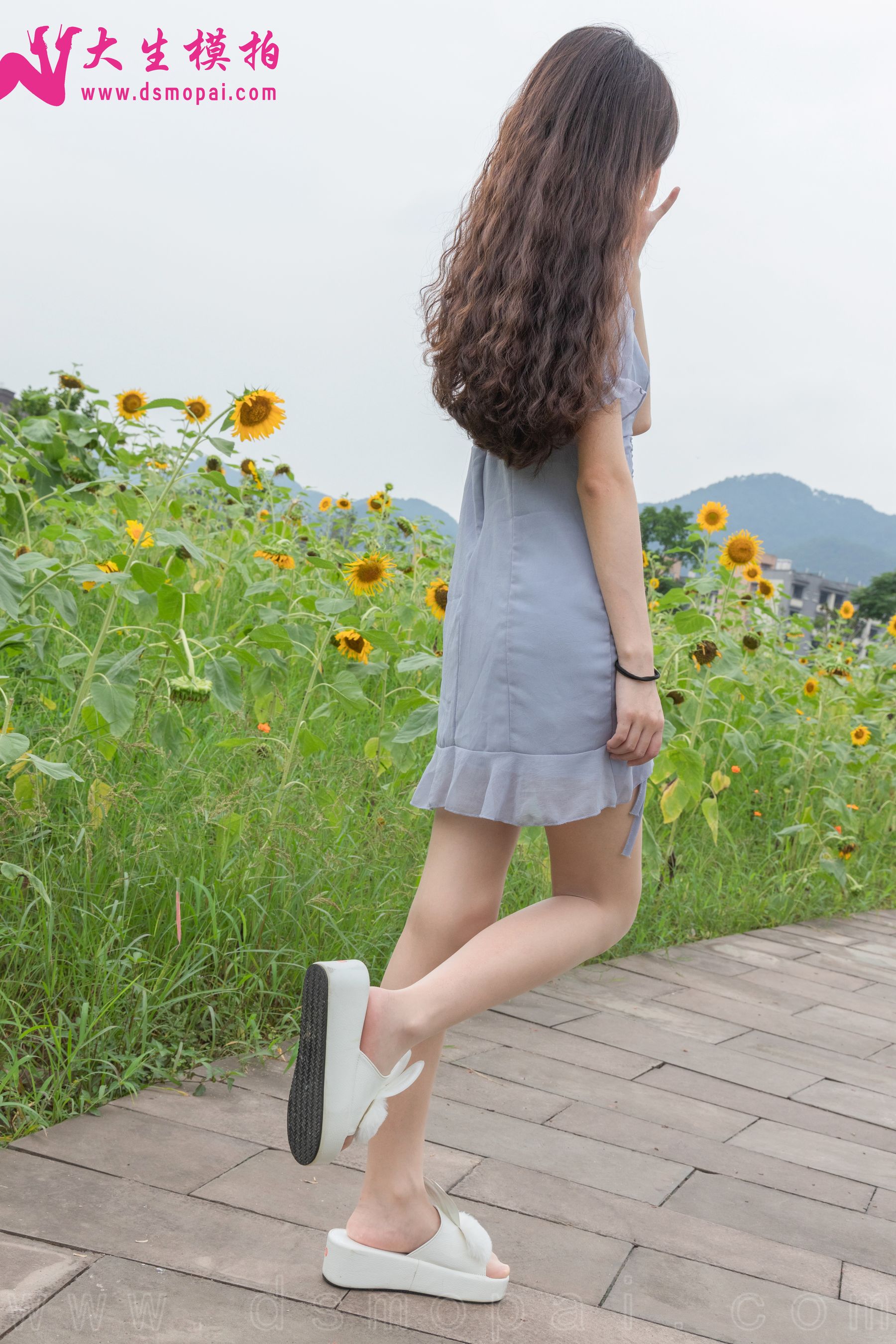 No.240 婉欣 向日葵女孩-图5