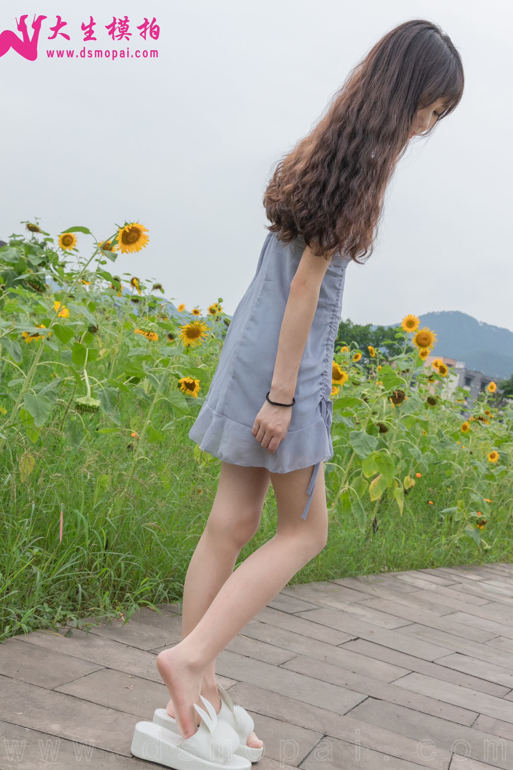 No.240 婉欣 向日葵女孩-图6