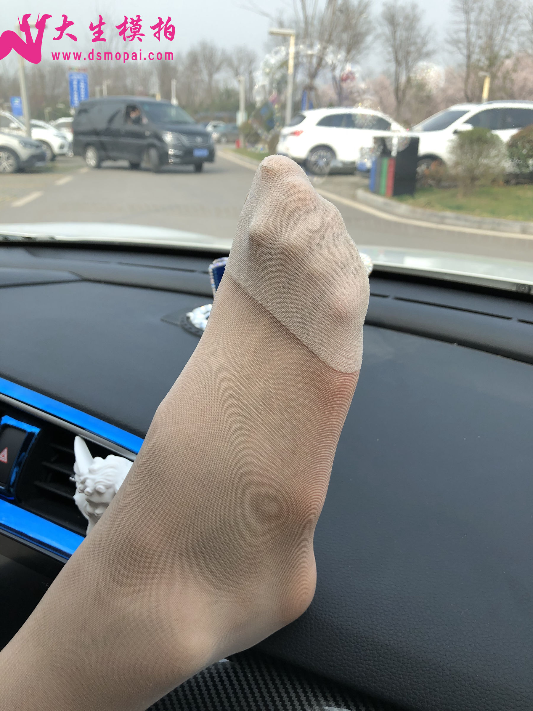 No.250 粉丝投稿1-肉丝篇-图50