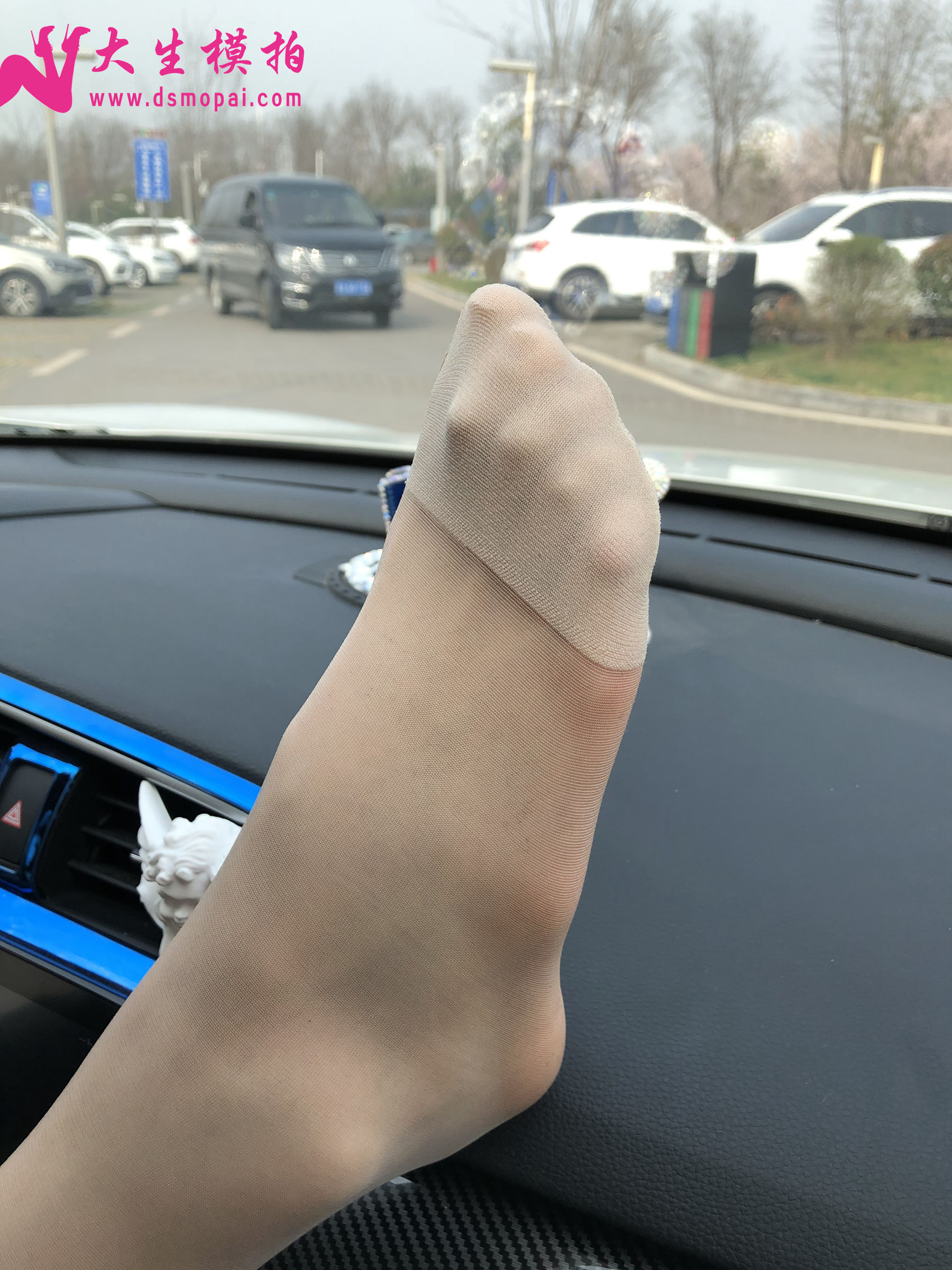 No.250 粉丝投稿1-肉丝篇-图51