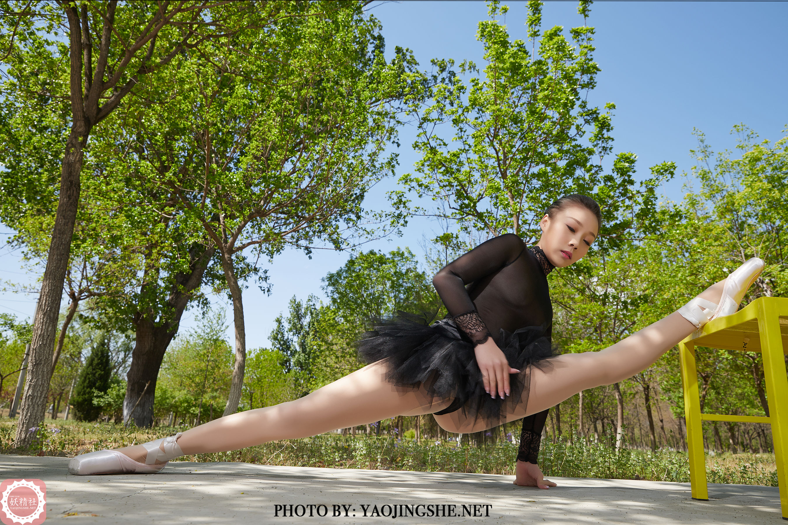 T2015 柒子 林中一字马-图20