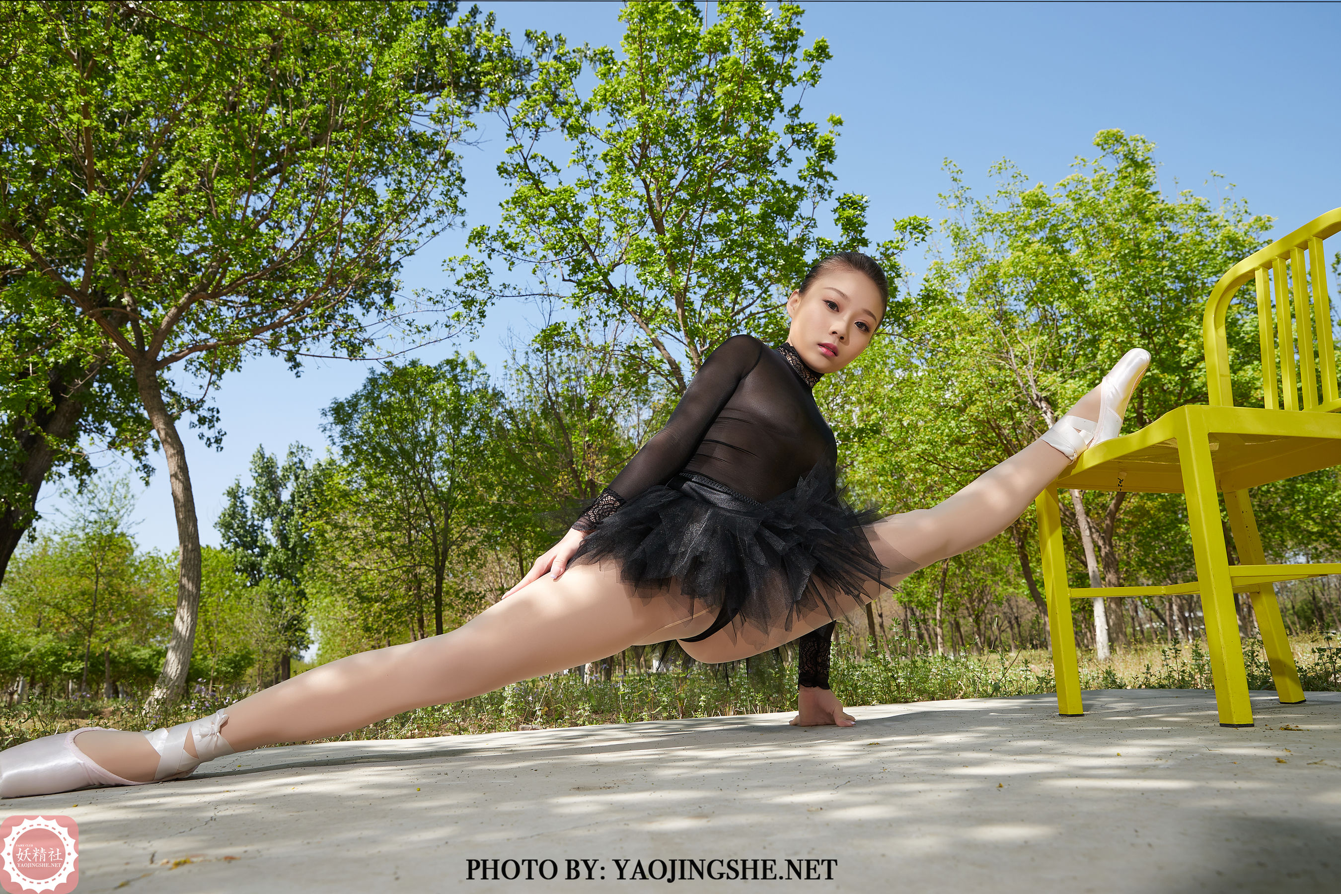 T2015 柒子 林中一字马-图21