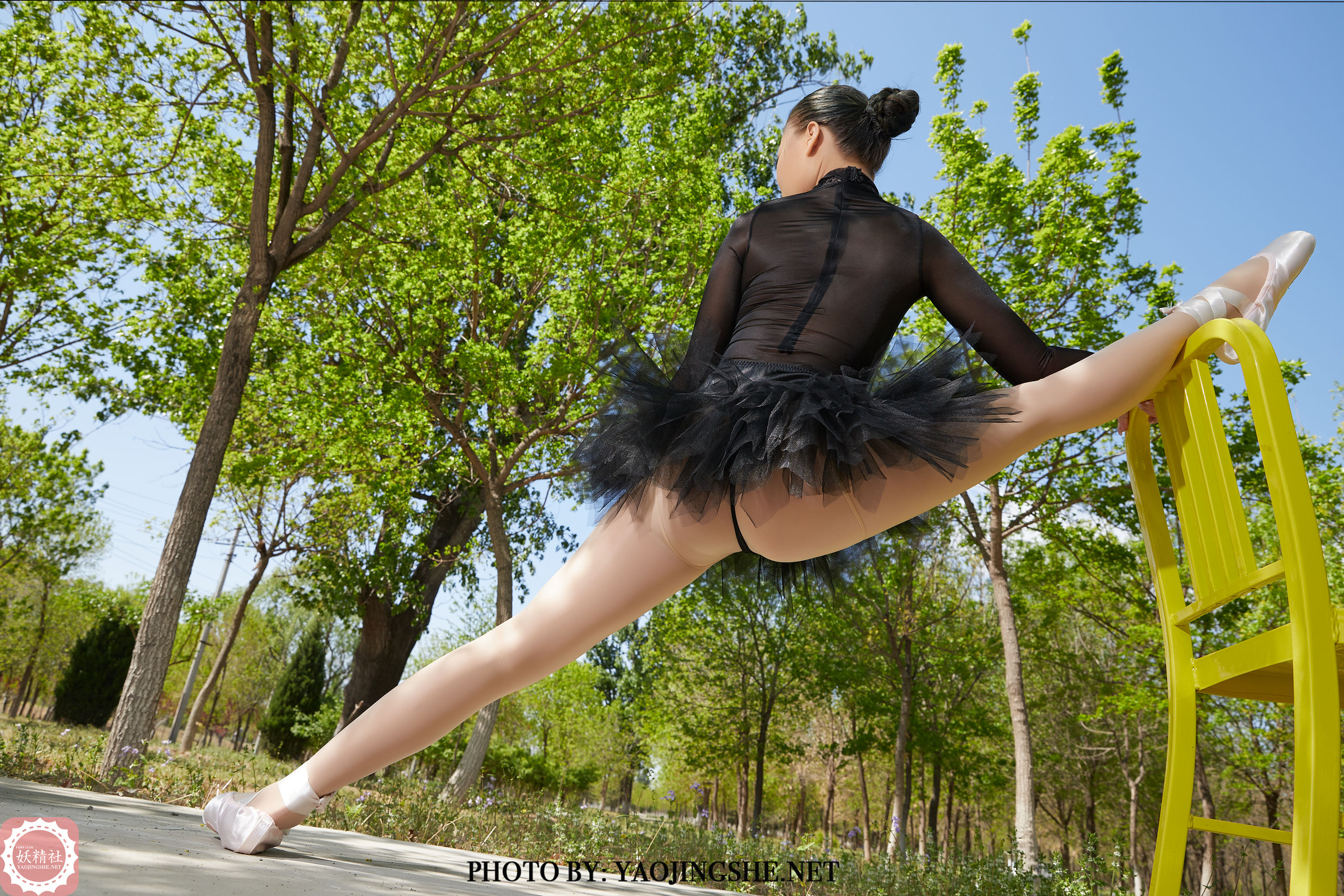 T2015 柒子 林中一字马-图22