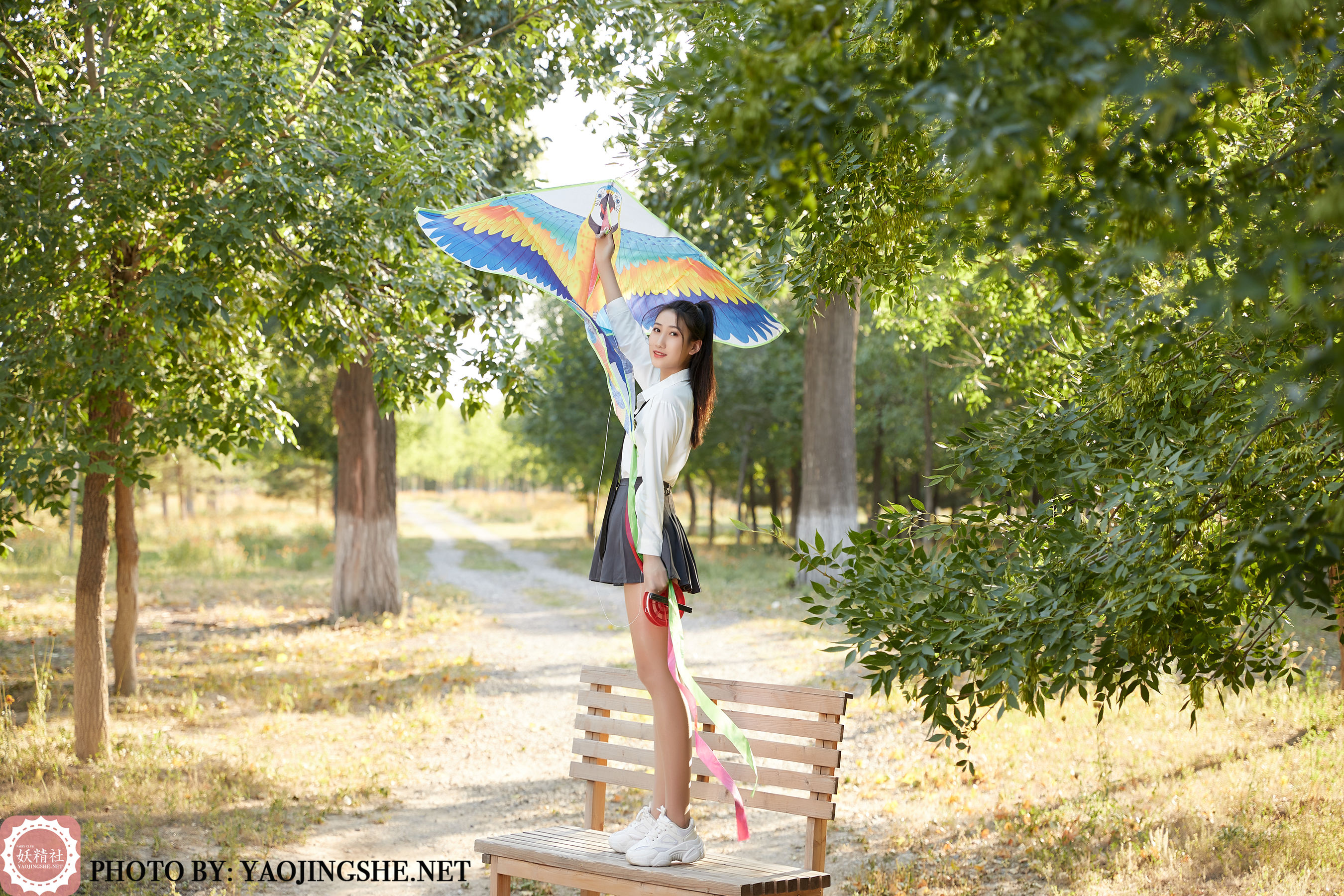 T2033 思文 风筝-图3