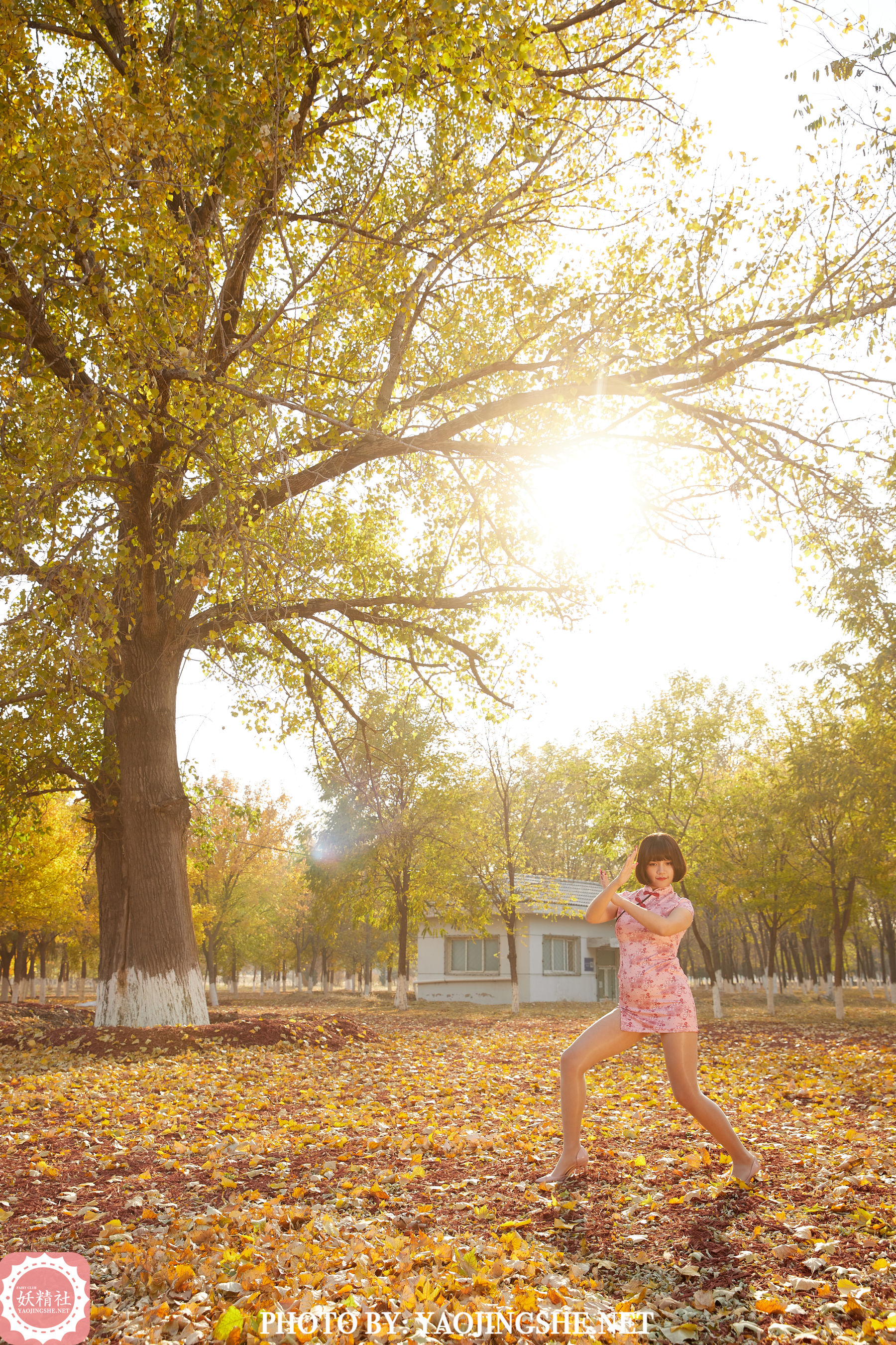 T2103 唐飞飞 太极小宗师-图16