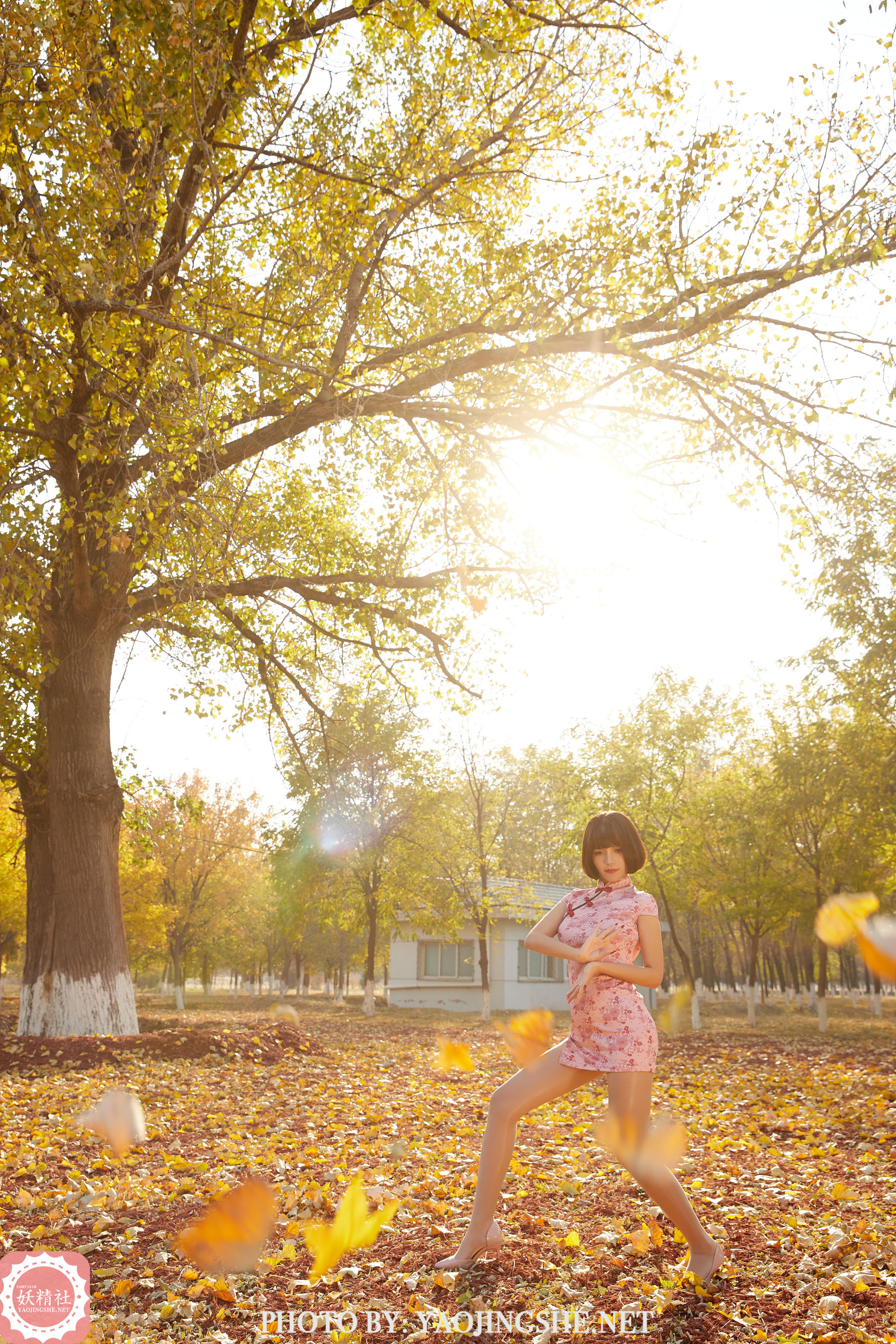 T2103 唐飞飞 太极小宗师-图17