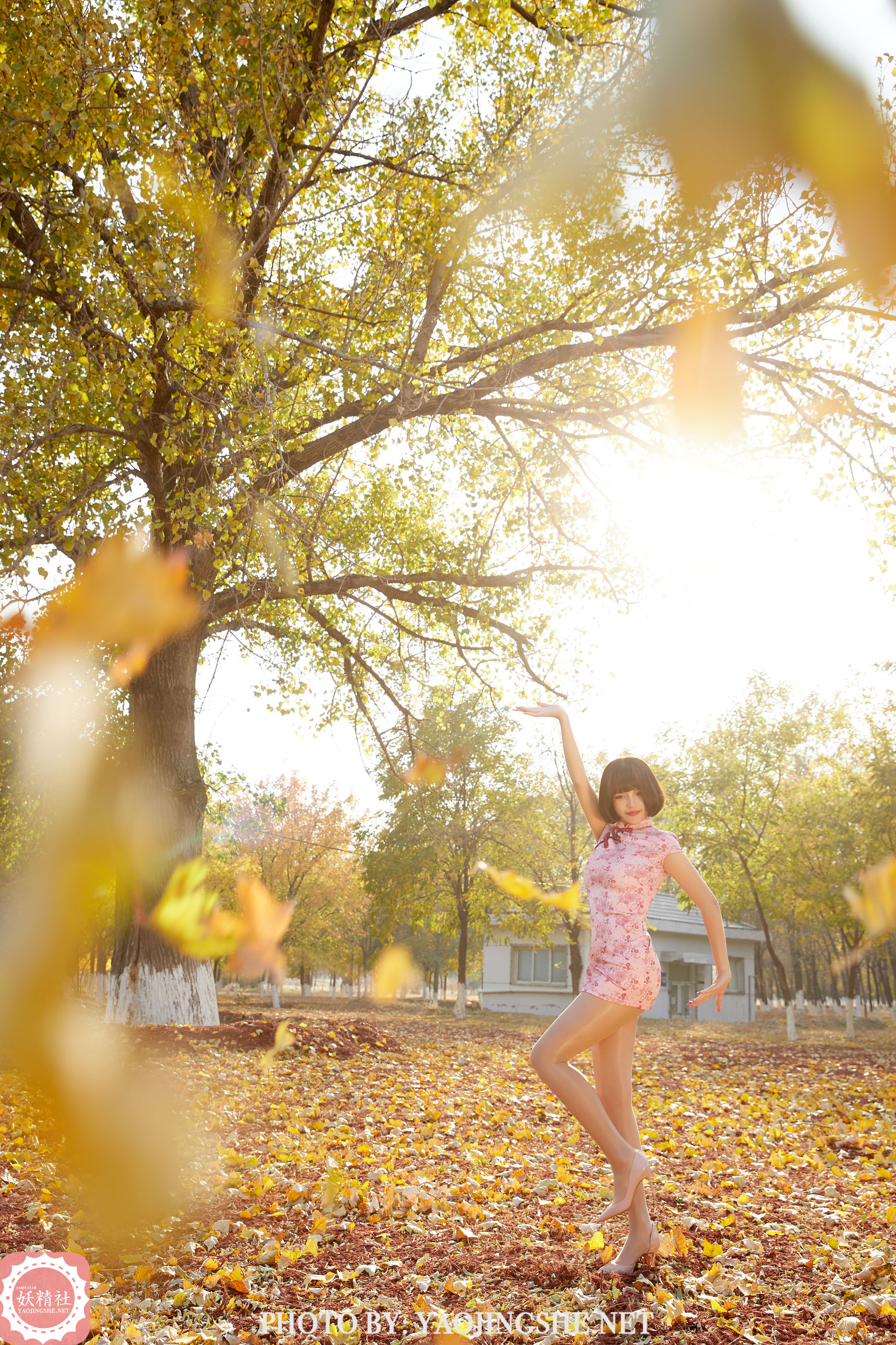 T2103 唐飞飞 太极小宗师-图18