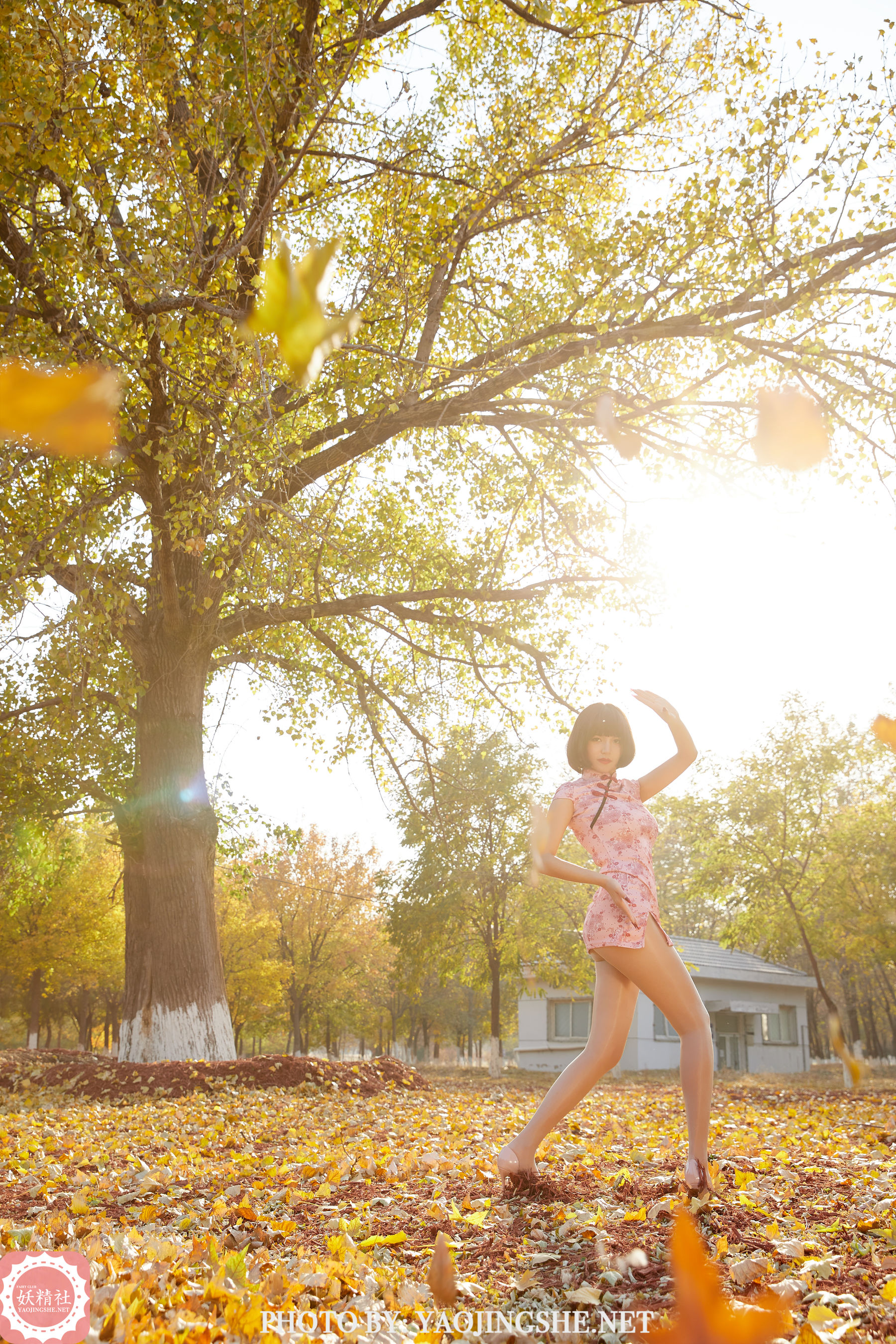 T2103 唐飞飞 太极小宗师-图19