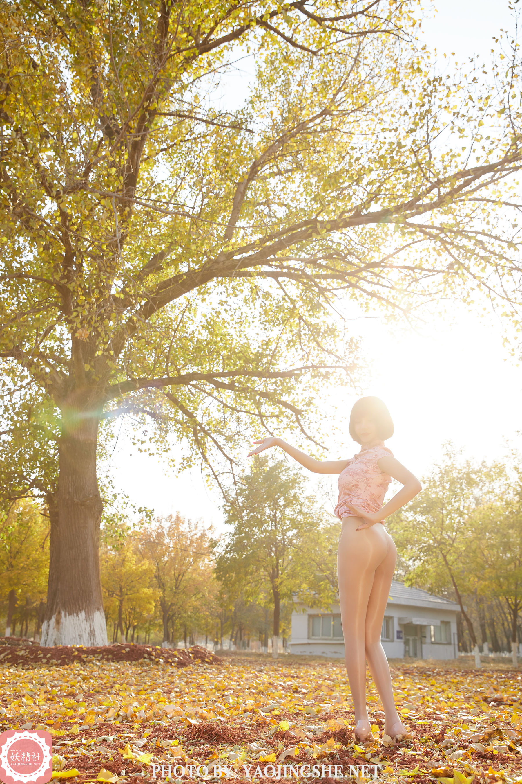 T2103 唐飞飞 太极小宗师-图20