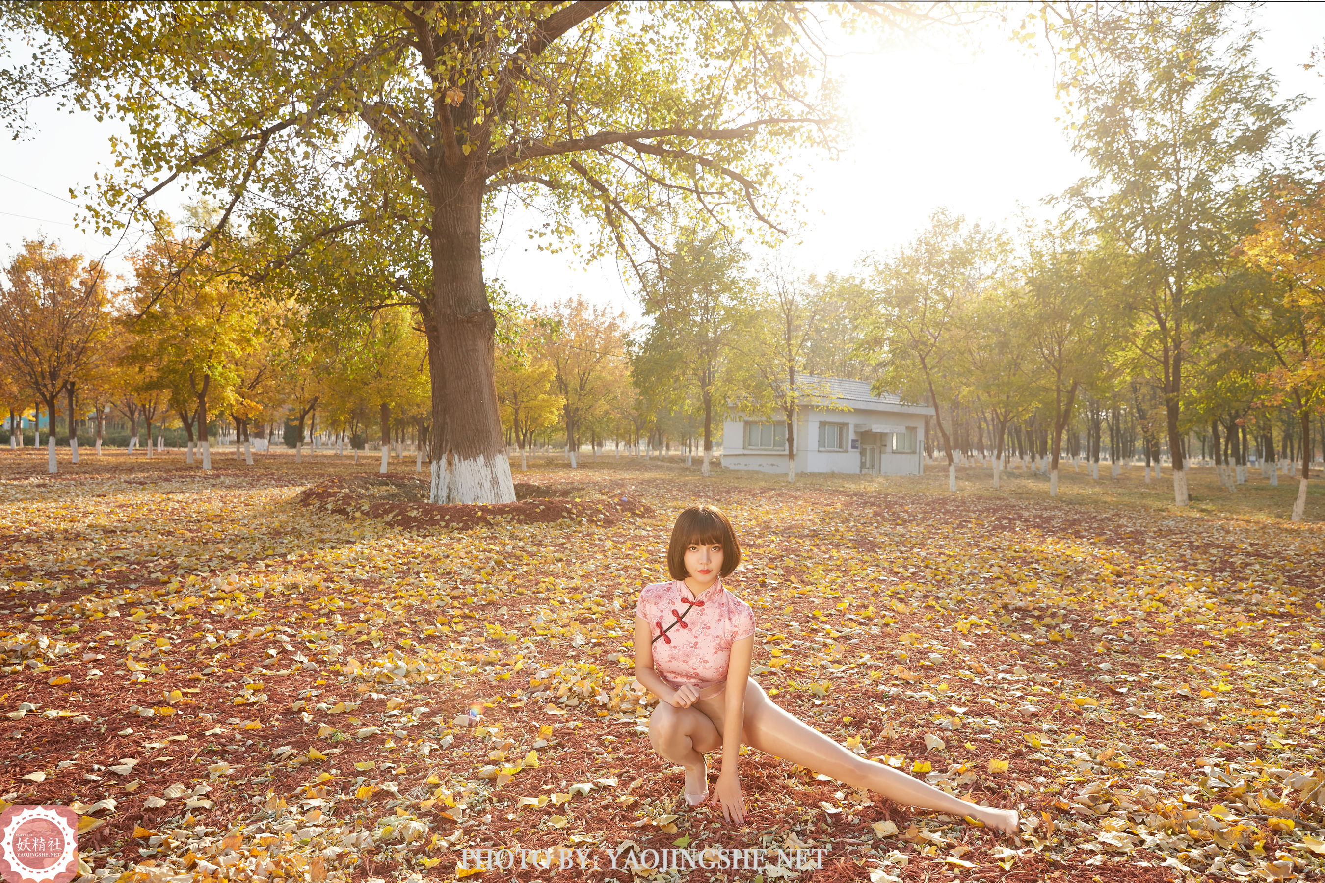 T2103 唐飞飞 太极小宗师-图28