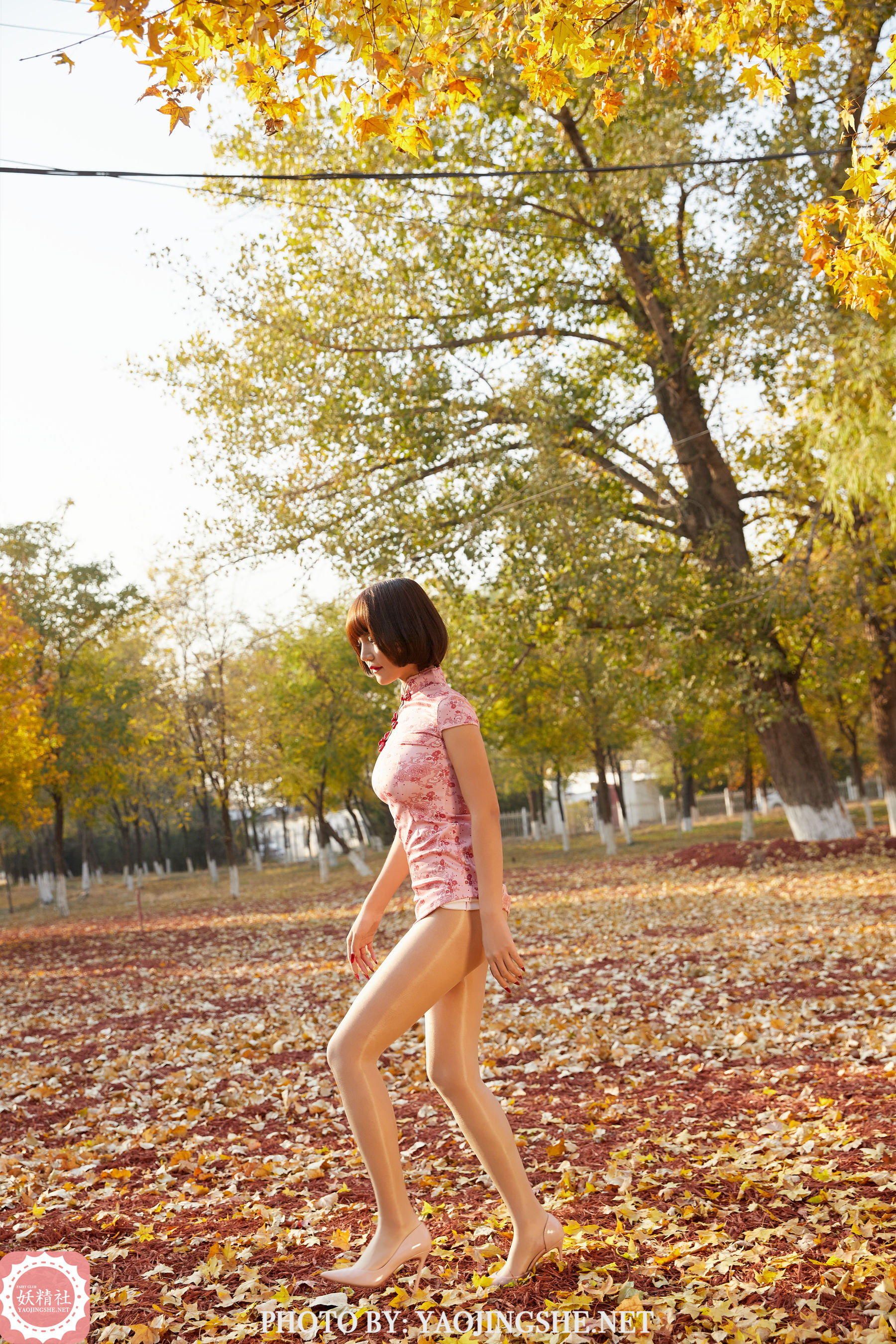 T2103 唐飞飞 太极小宗师-图36