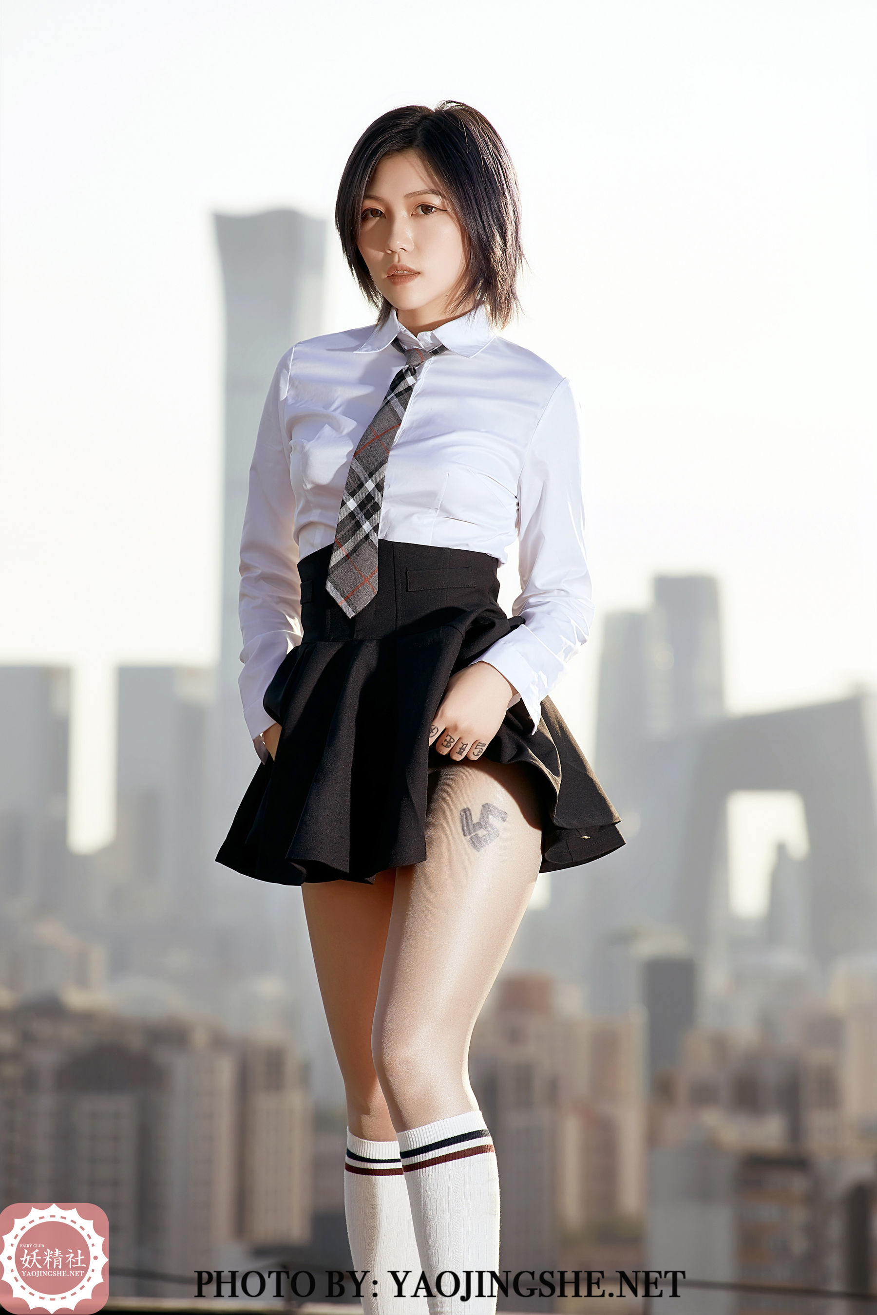 V2002 菊花 望京-图20