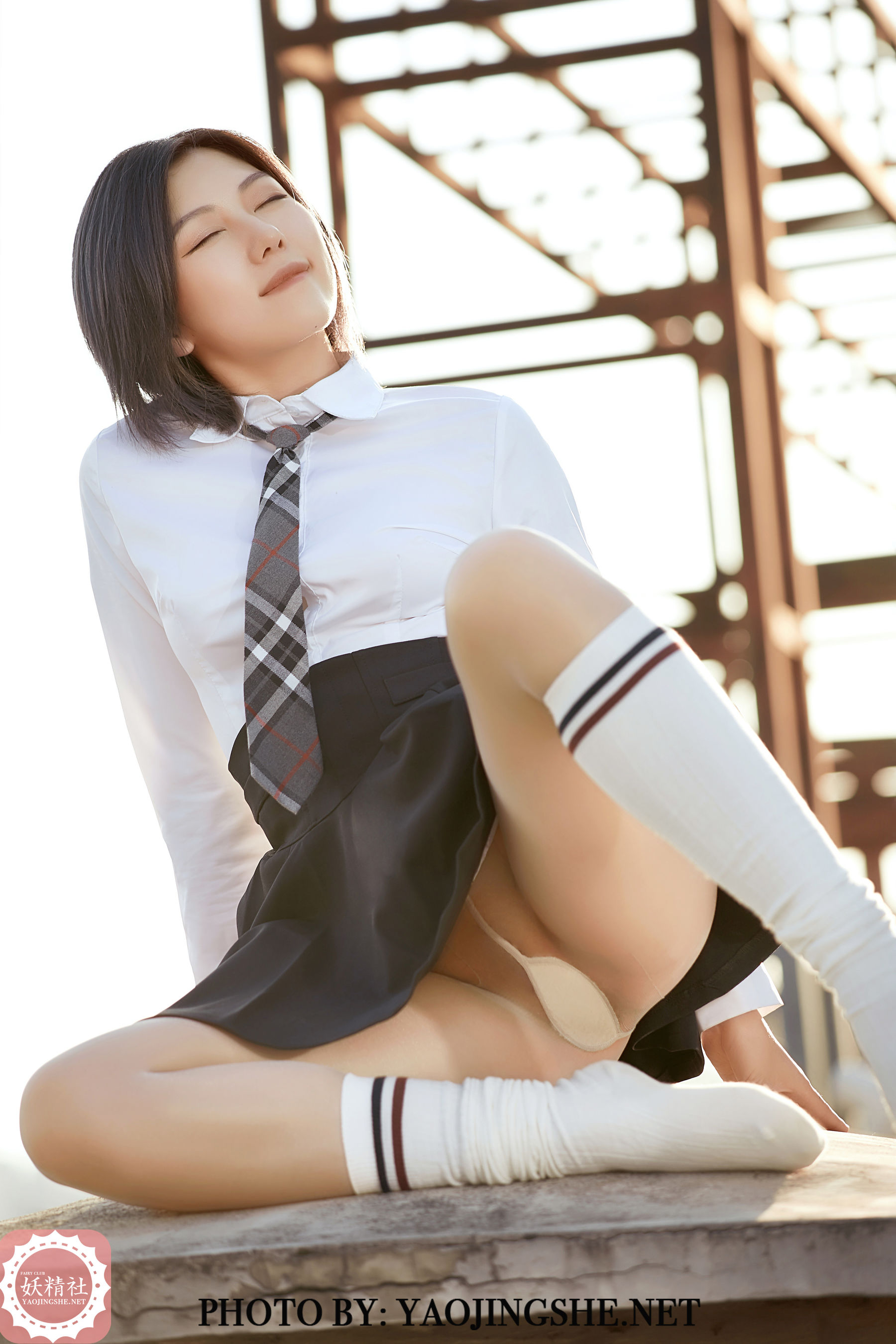 V2002 菊花 望京-图22