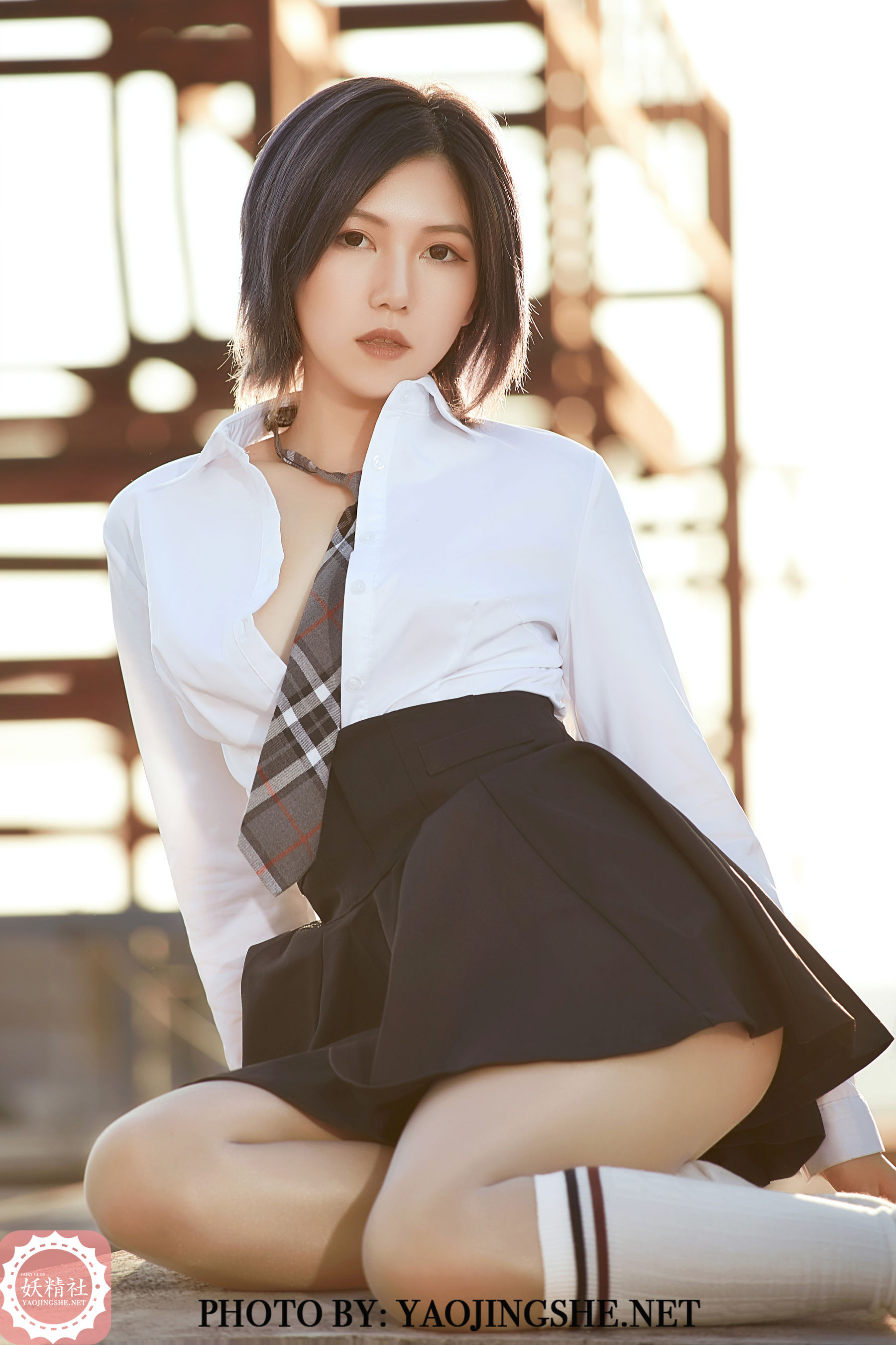 V2002 菊花 望京-图23