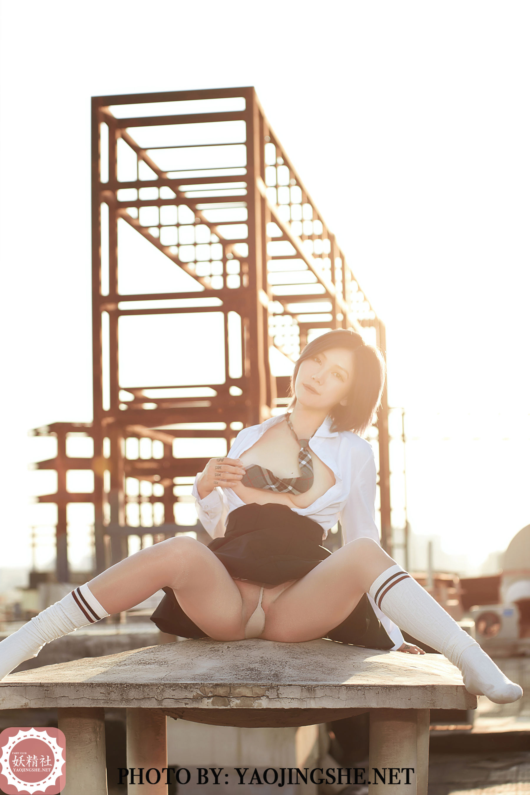 V2002 菊花 望京-图24