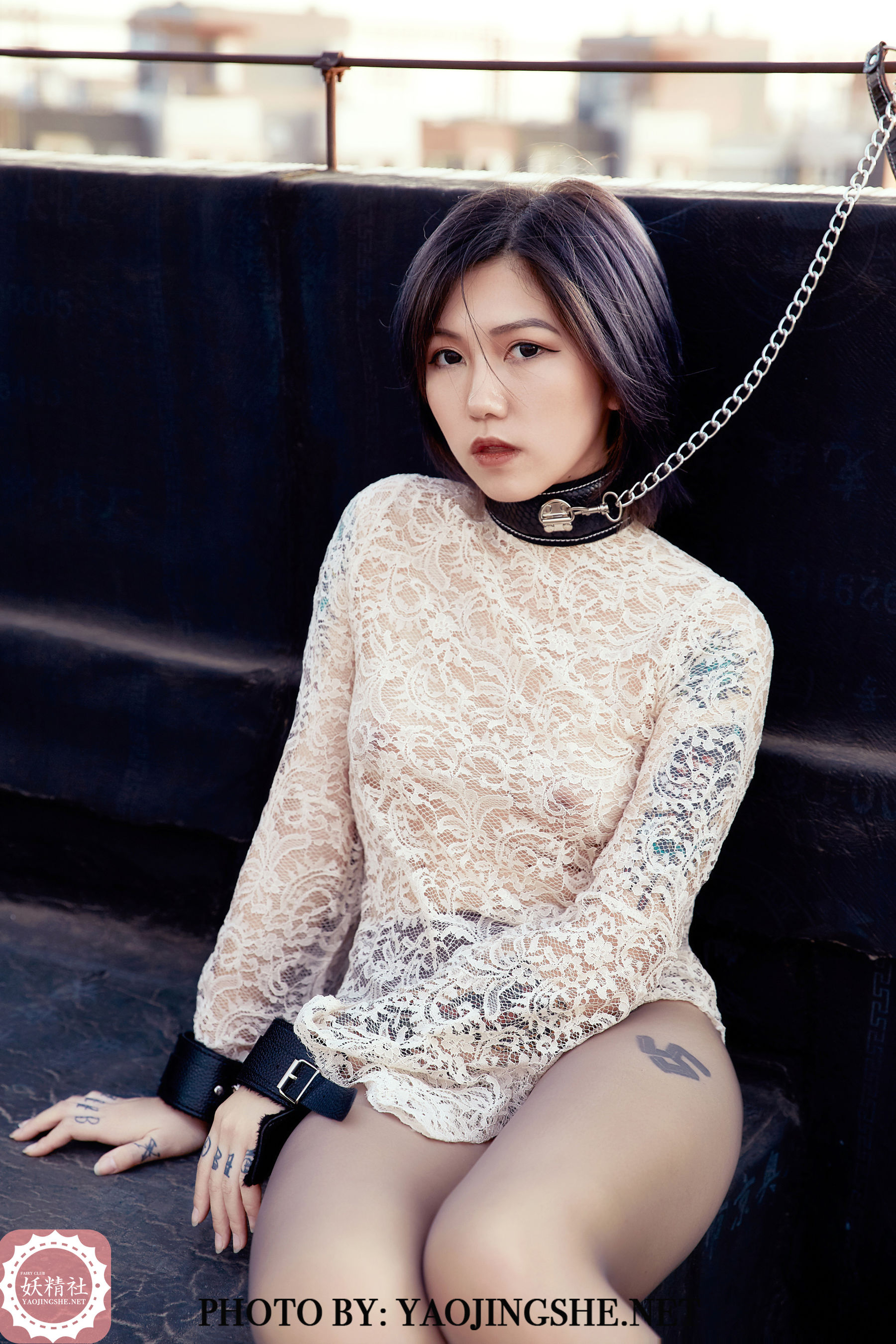 V2002 菊花 望京-图32