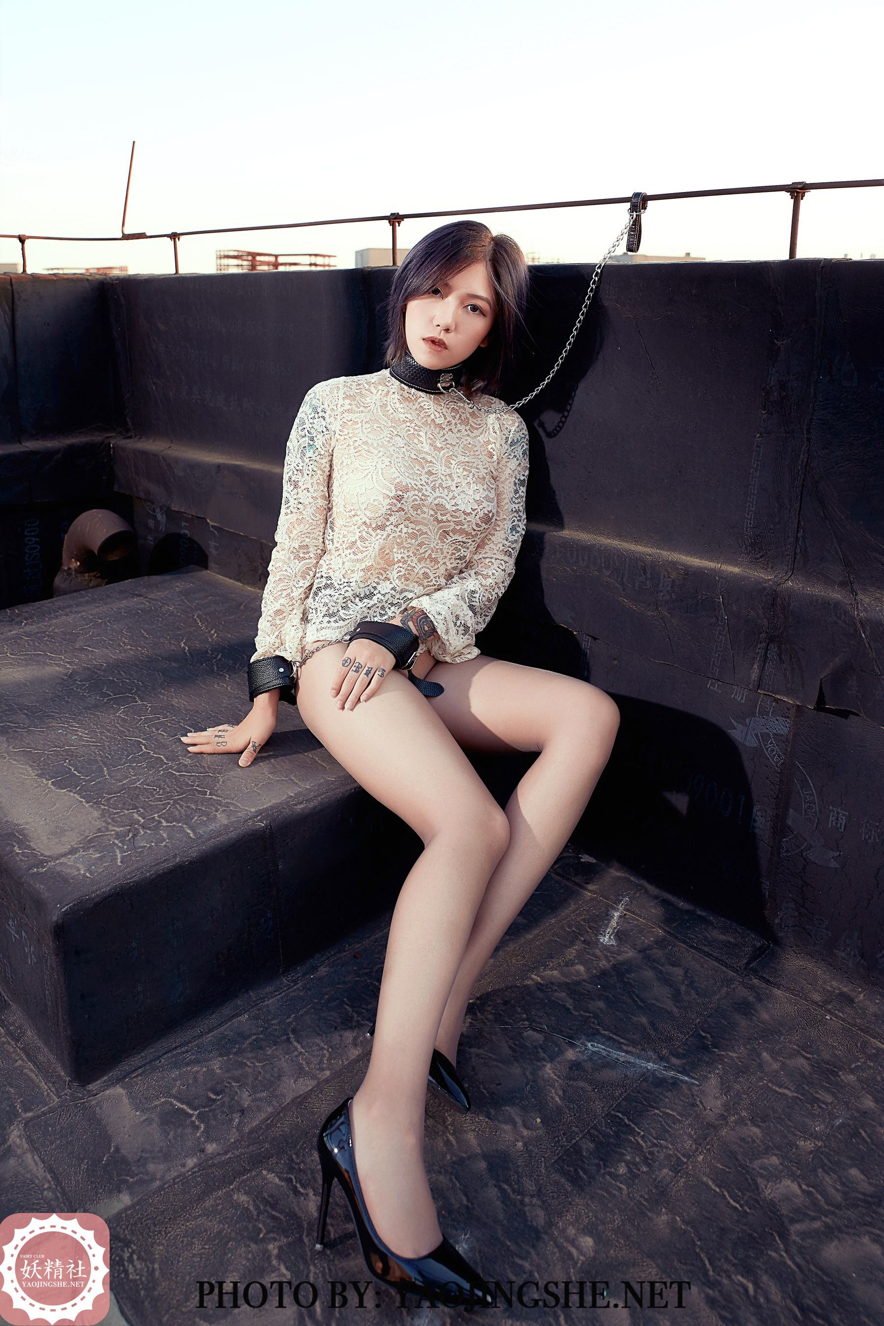 V2002 菊花 望京-图34