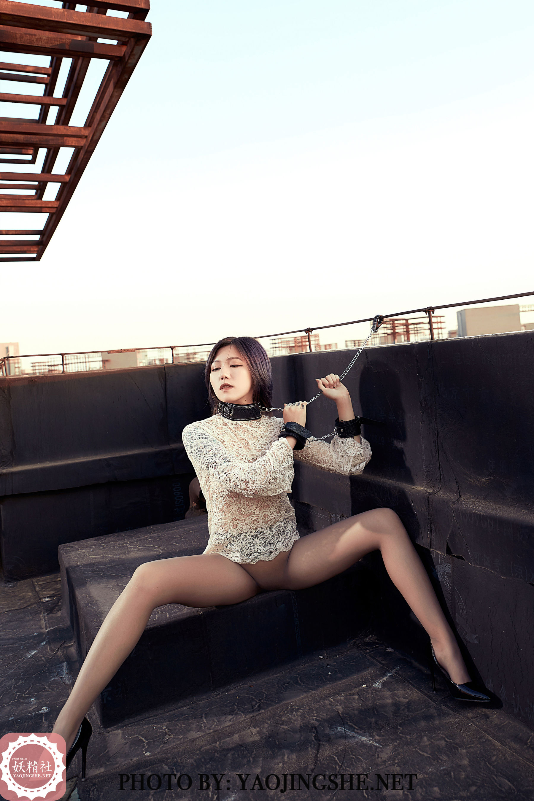 V2002 菊花 望京-图37