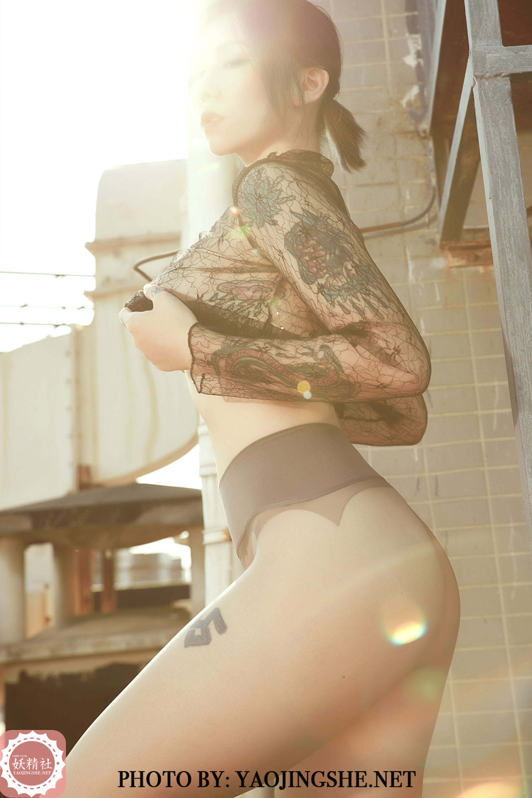 V2002 菊花 望京-图6