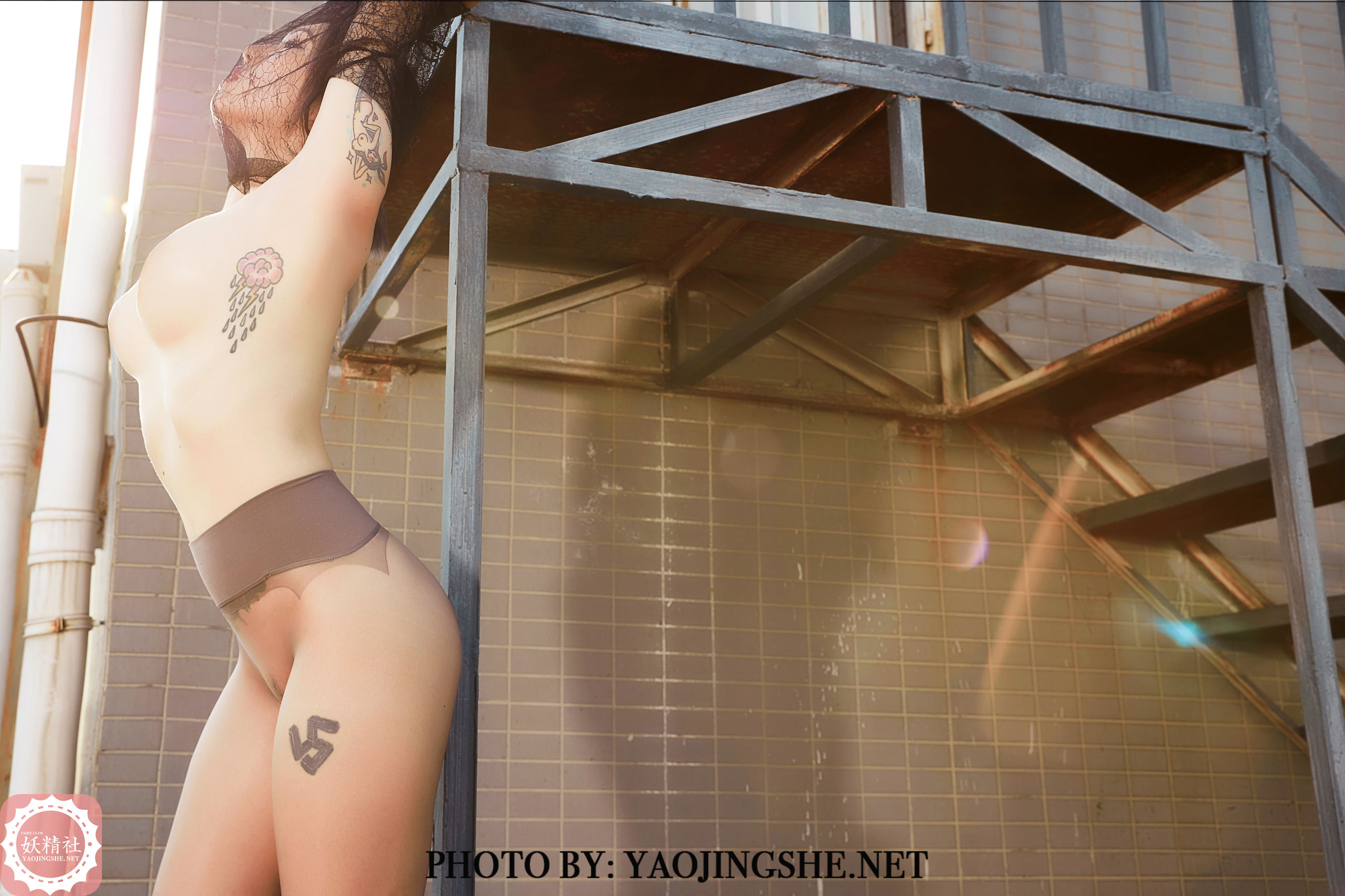 V2002 菊花 望京-图7