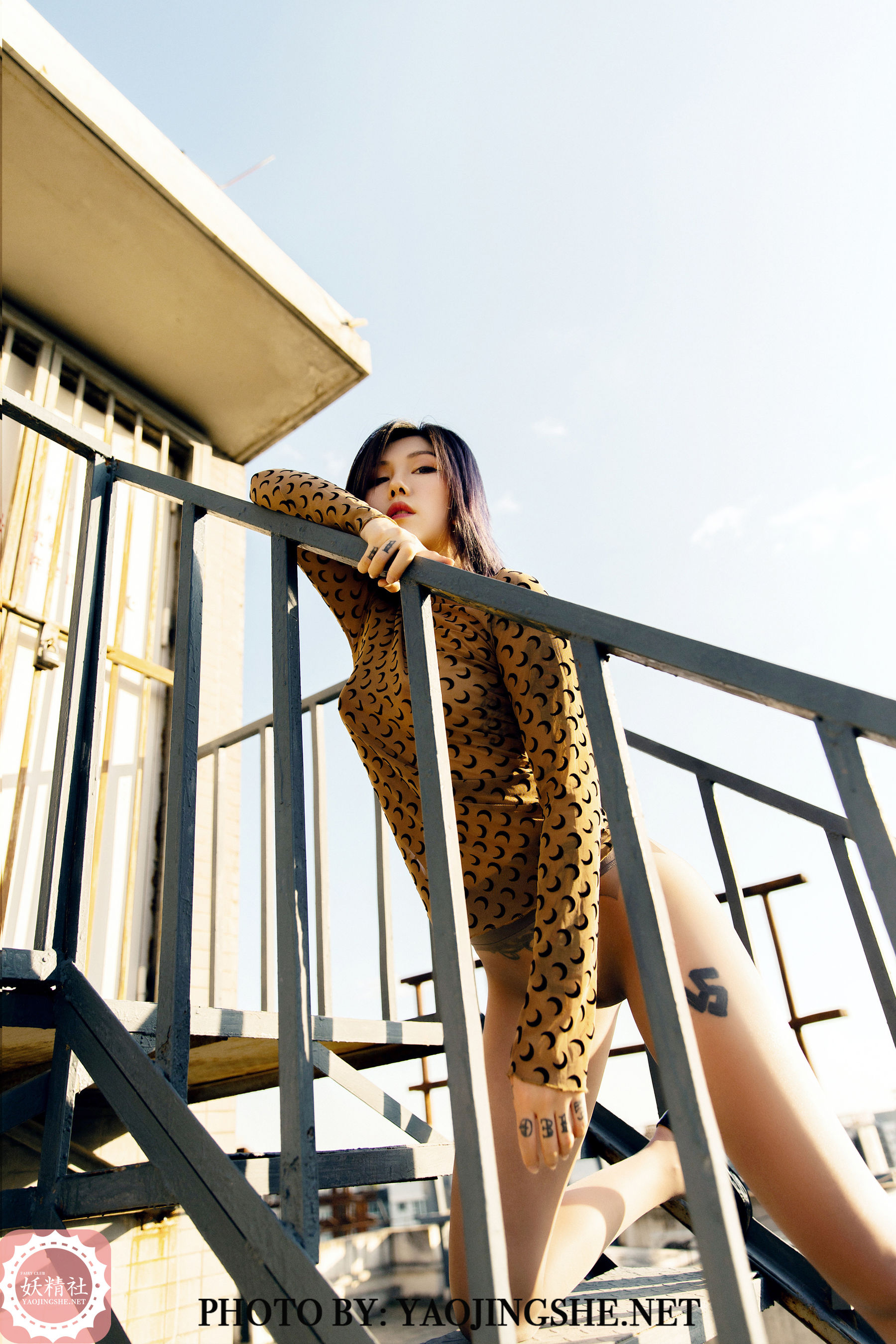 V2003 菊花 谁困住了我的菊花-图13