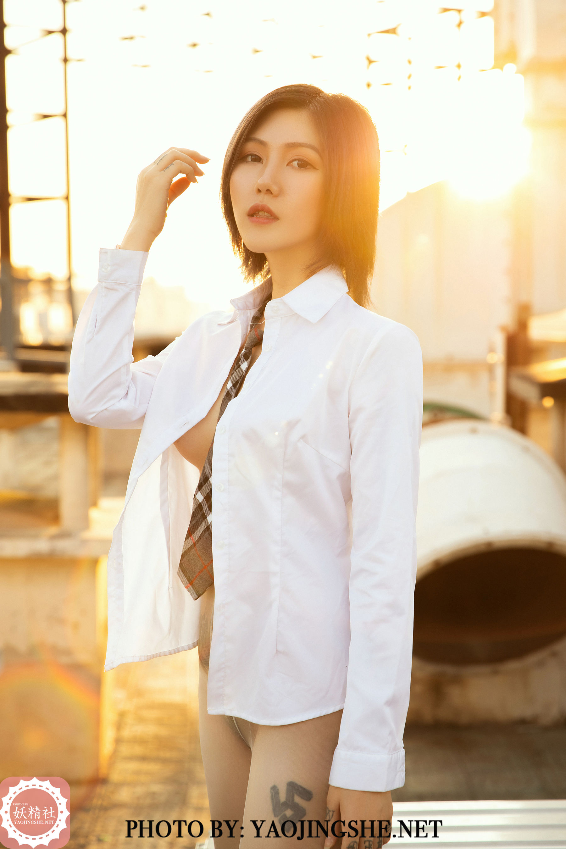 V2003 菊花 谁困住了我的菊花-图30