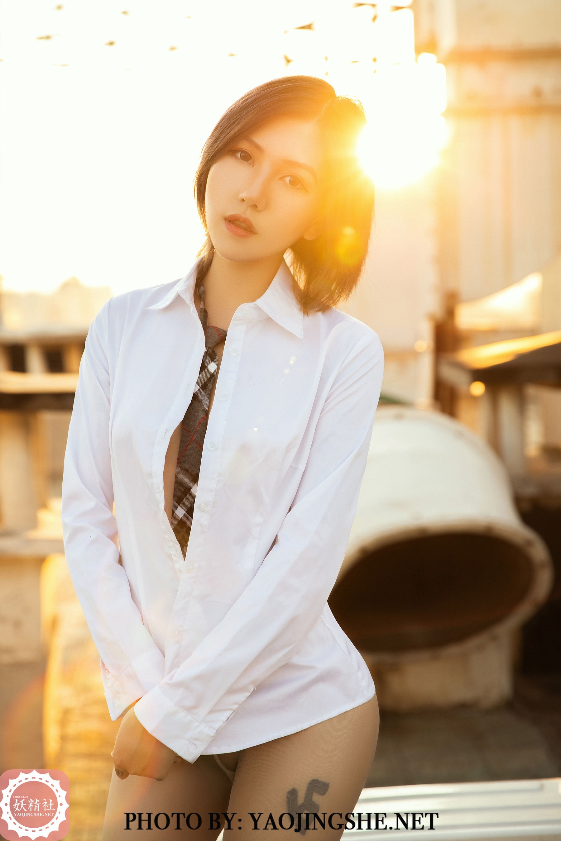 V2003 菊花 谁困住了我的菊花-图31