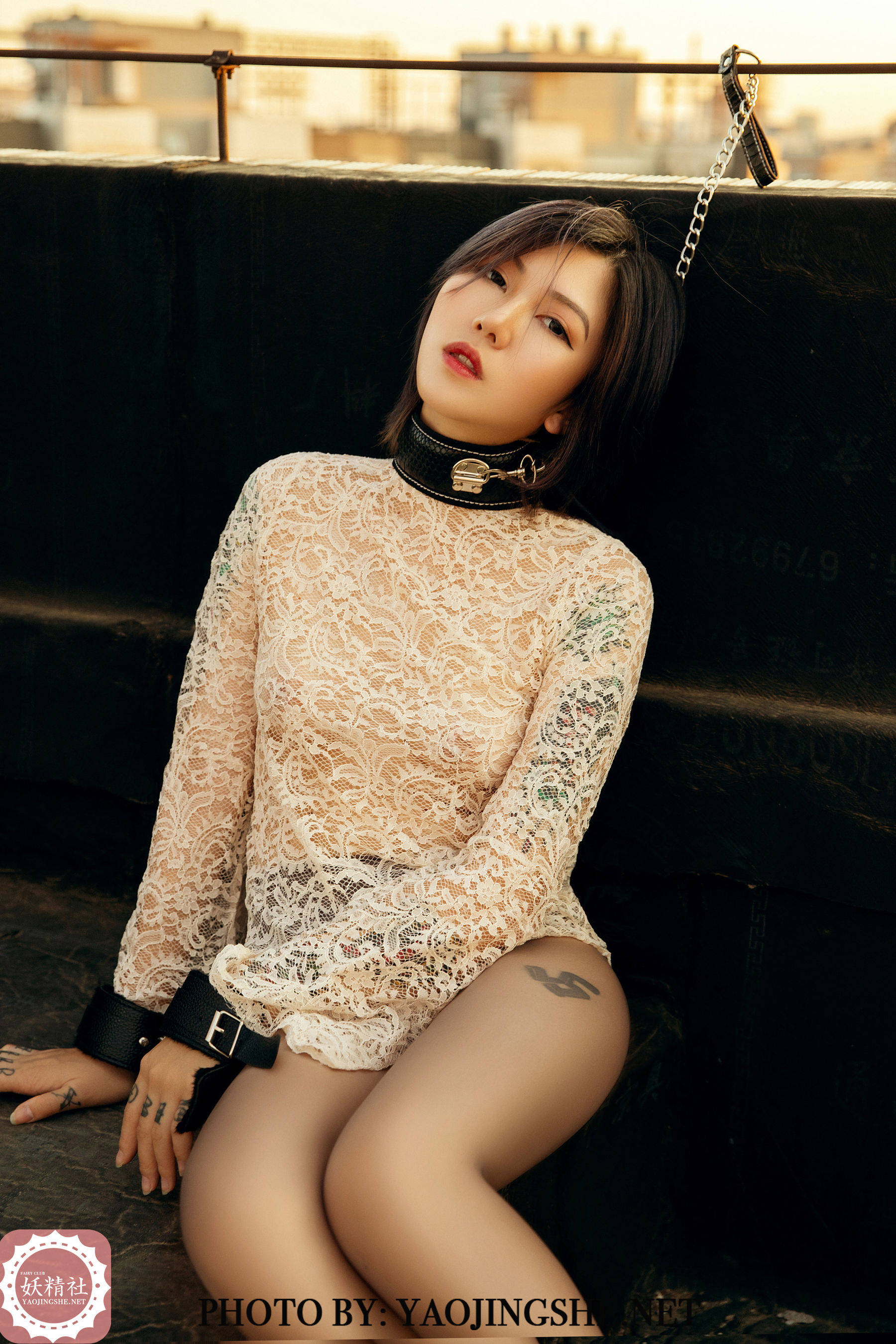 V2003 菊花 谁困住了我的菊花-图32