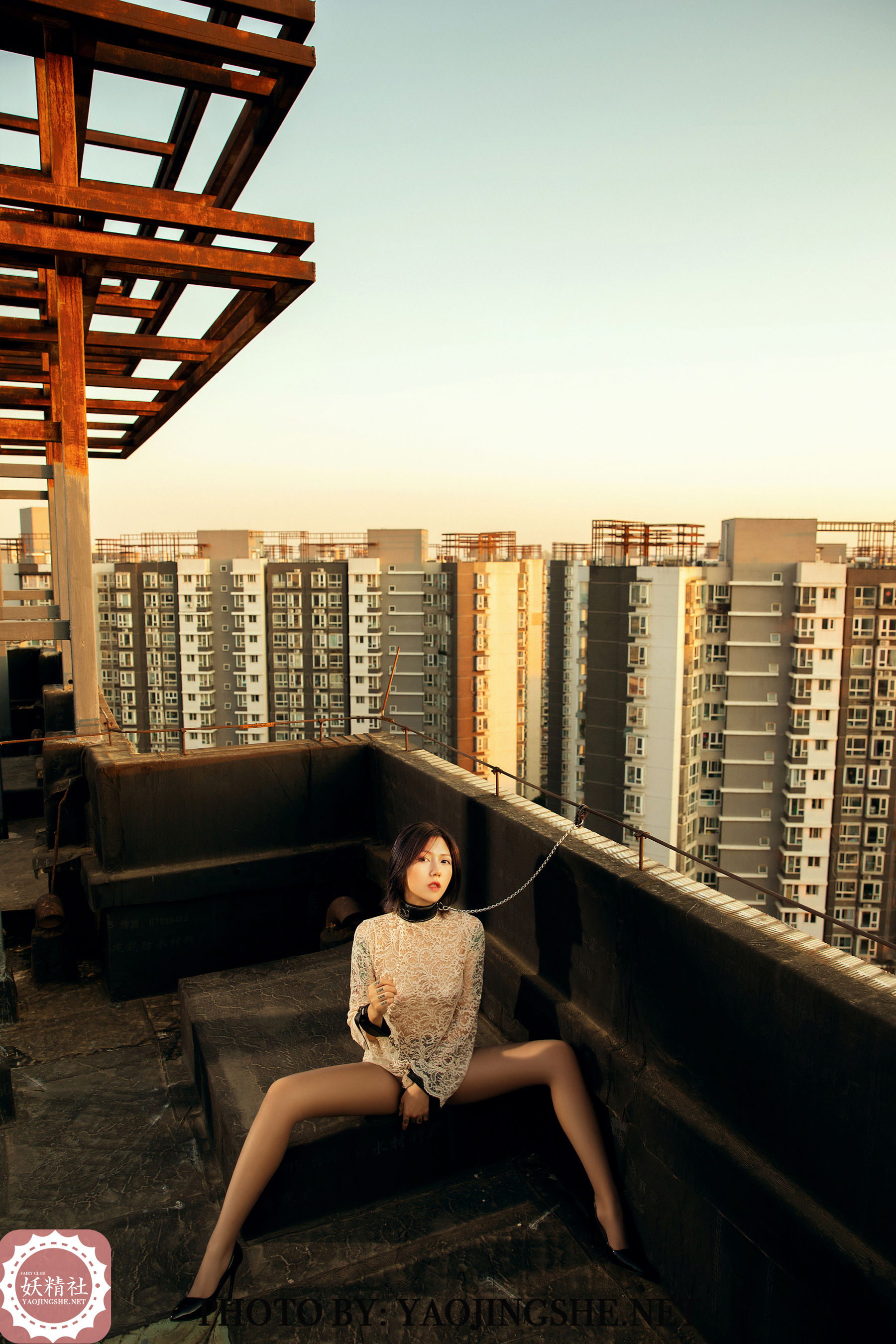 V2003 菊花 谁困住了我的菊花-图35