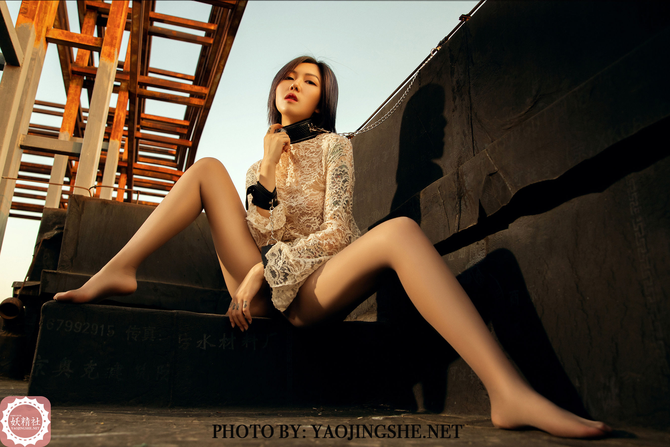 V2003 菊花 谁困住了我的菊花-图36