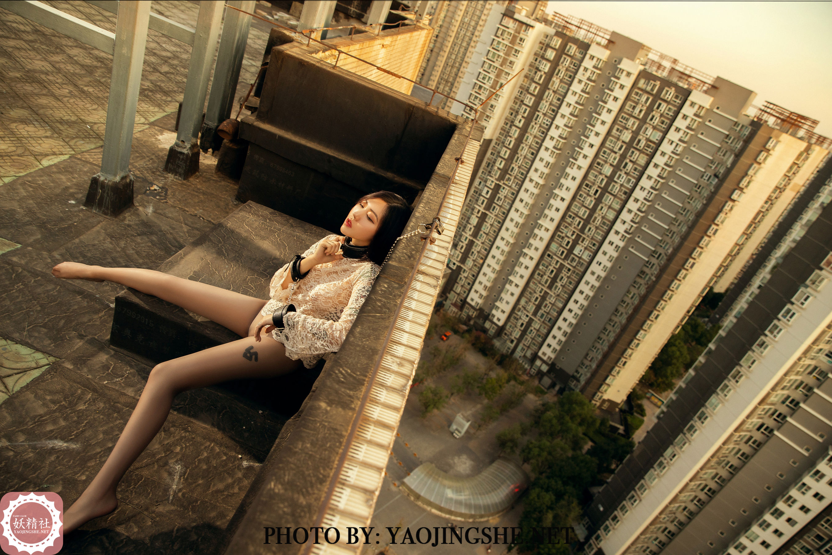 V2003 菊花 谁困住了我的菊花-图38