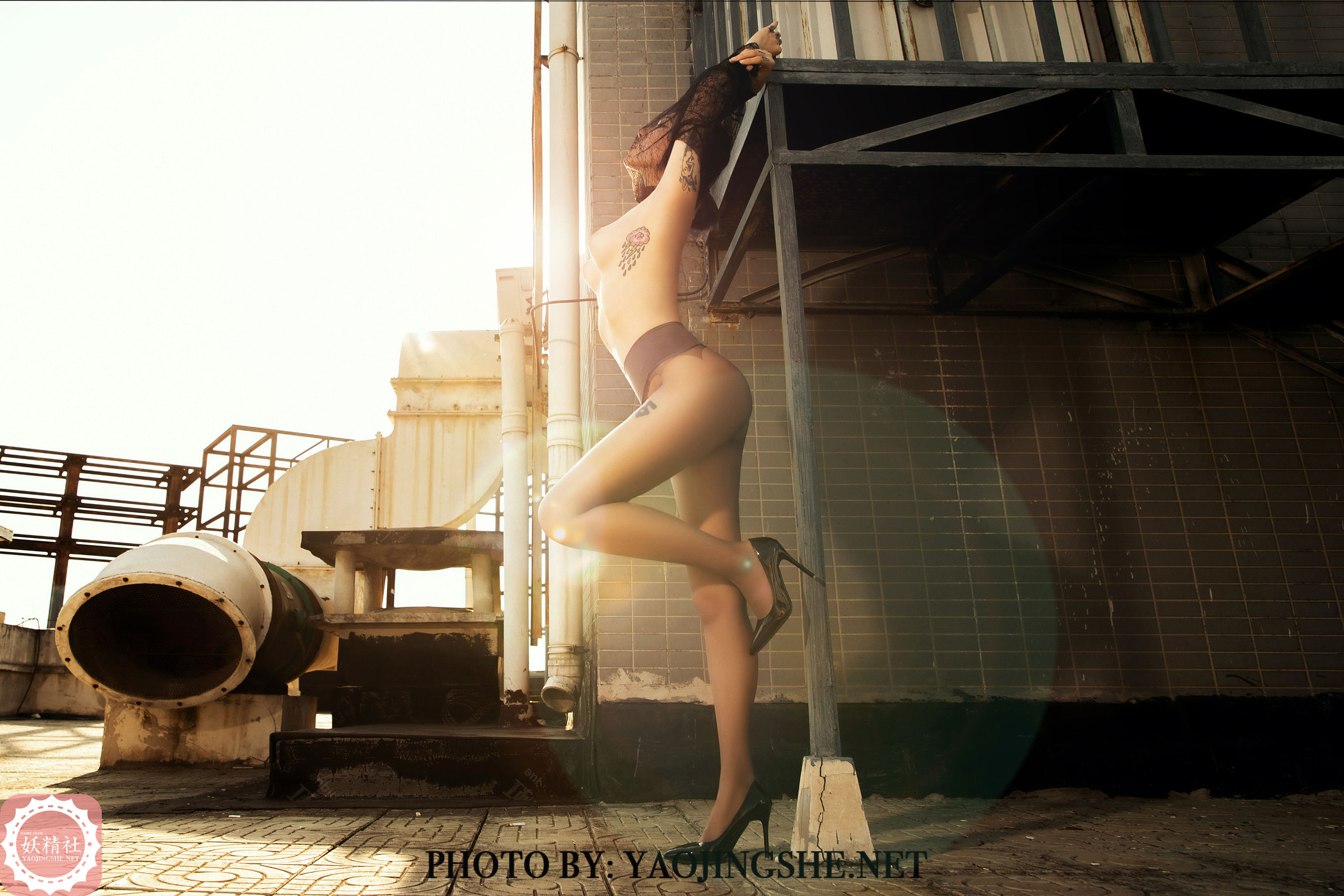 V2003 菊花 谁困住了我的菊花-图4