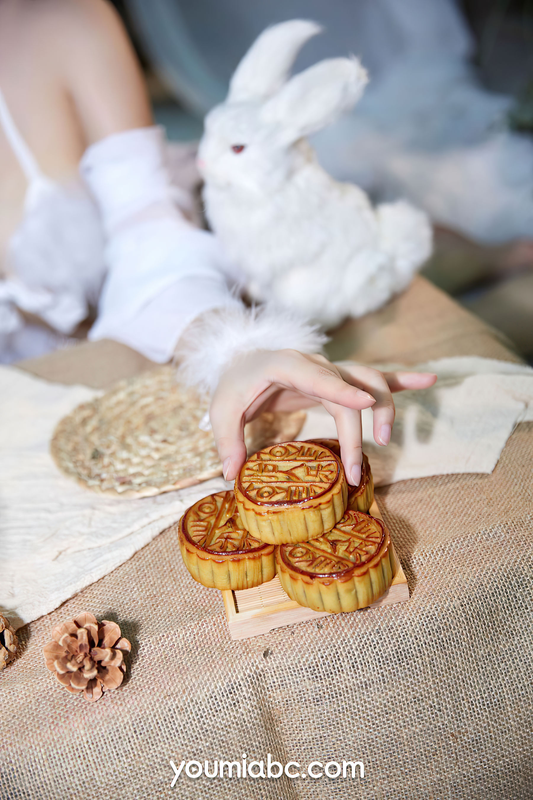 尹兒 欲兔东升-图12