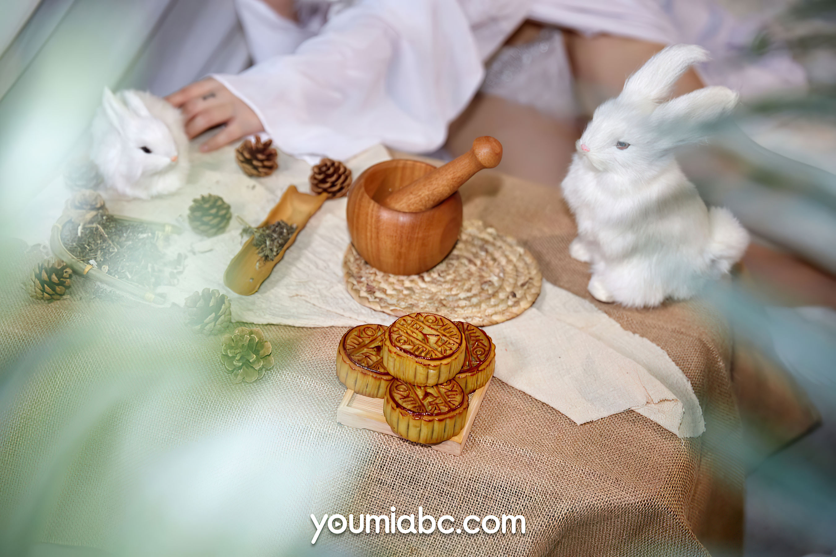 尹兒 欲兔东升-图4