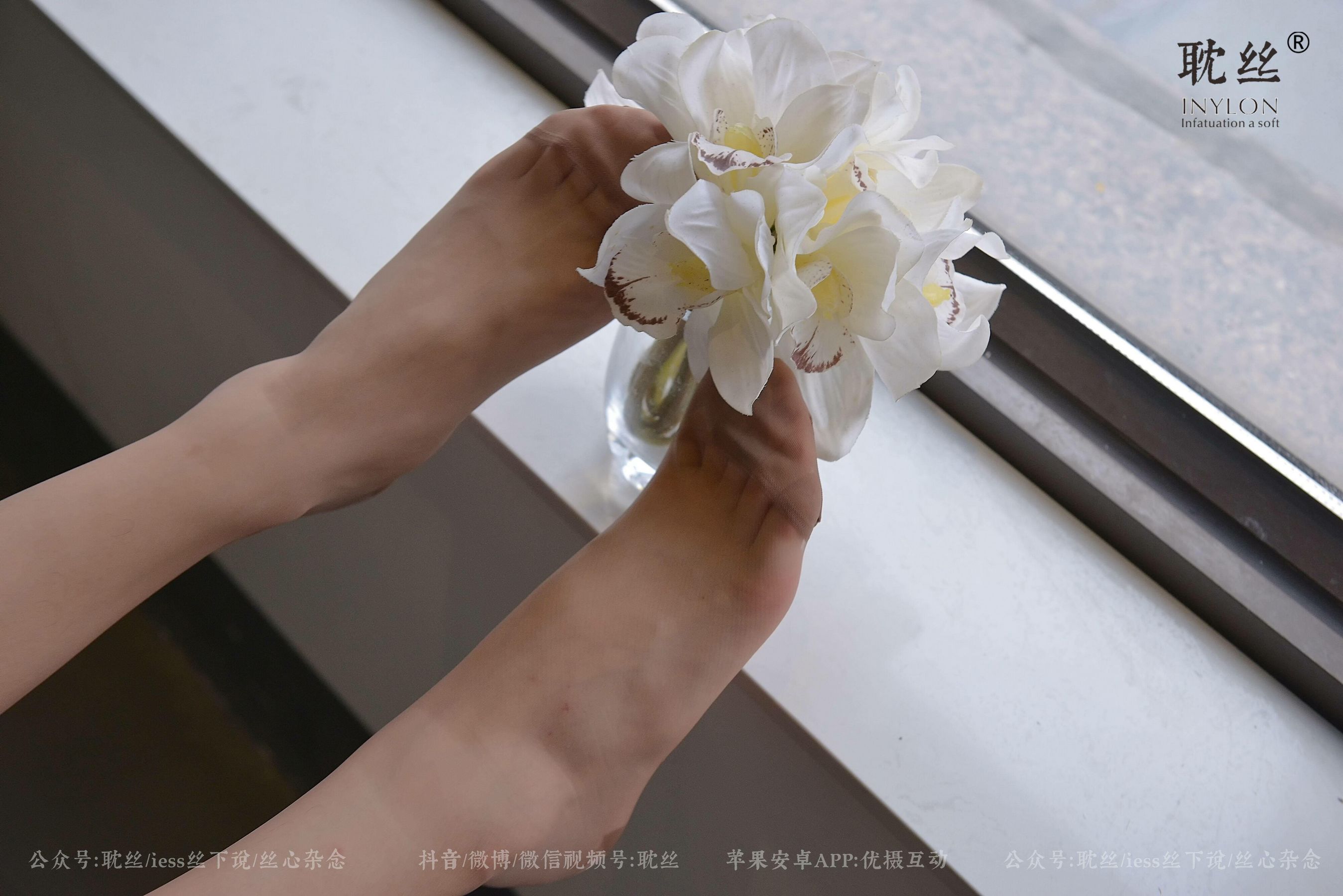 008 优雅的本色-图79