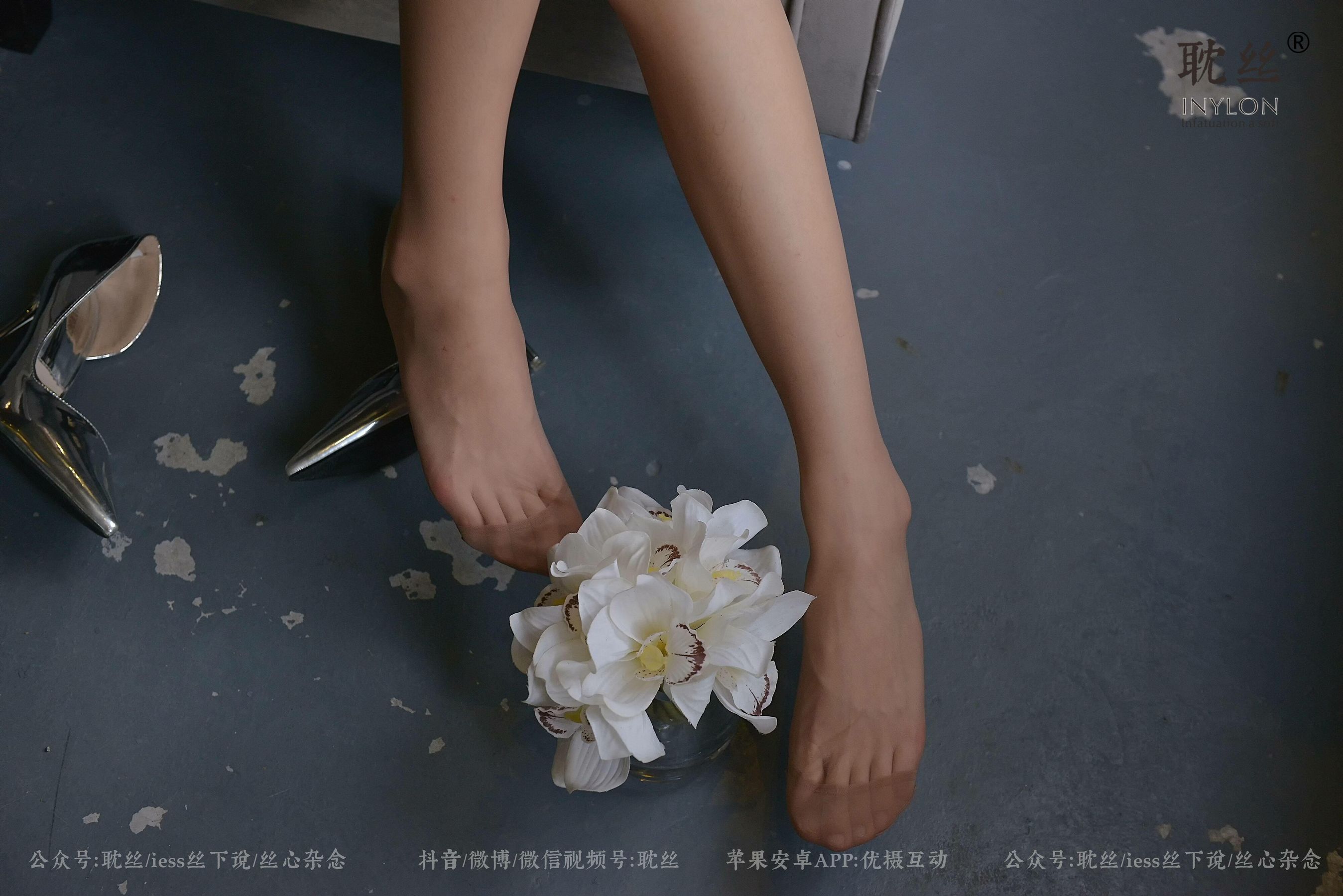 008 优雅的本色-图90