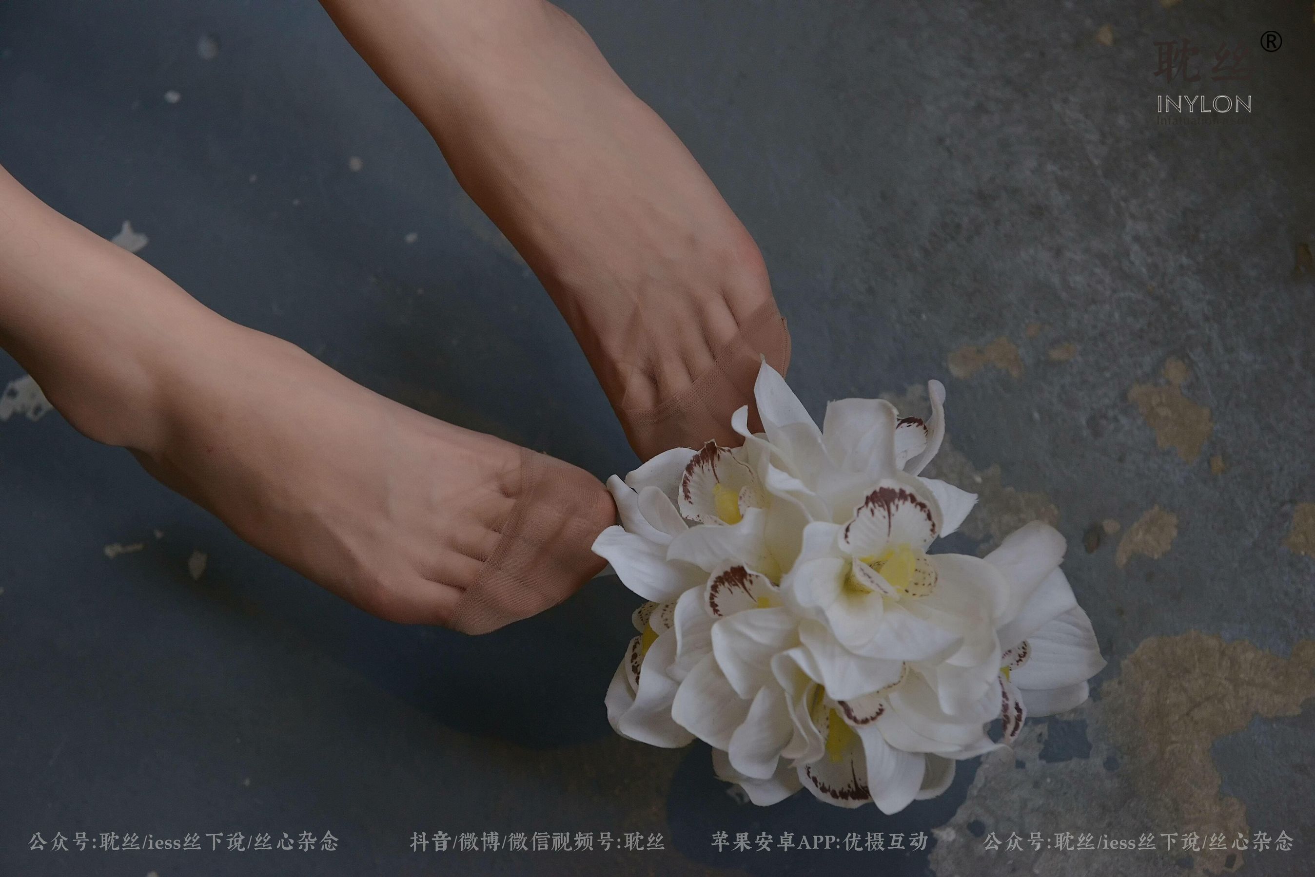 008 优雅的本色-图91