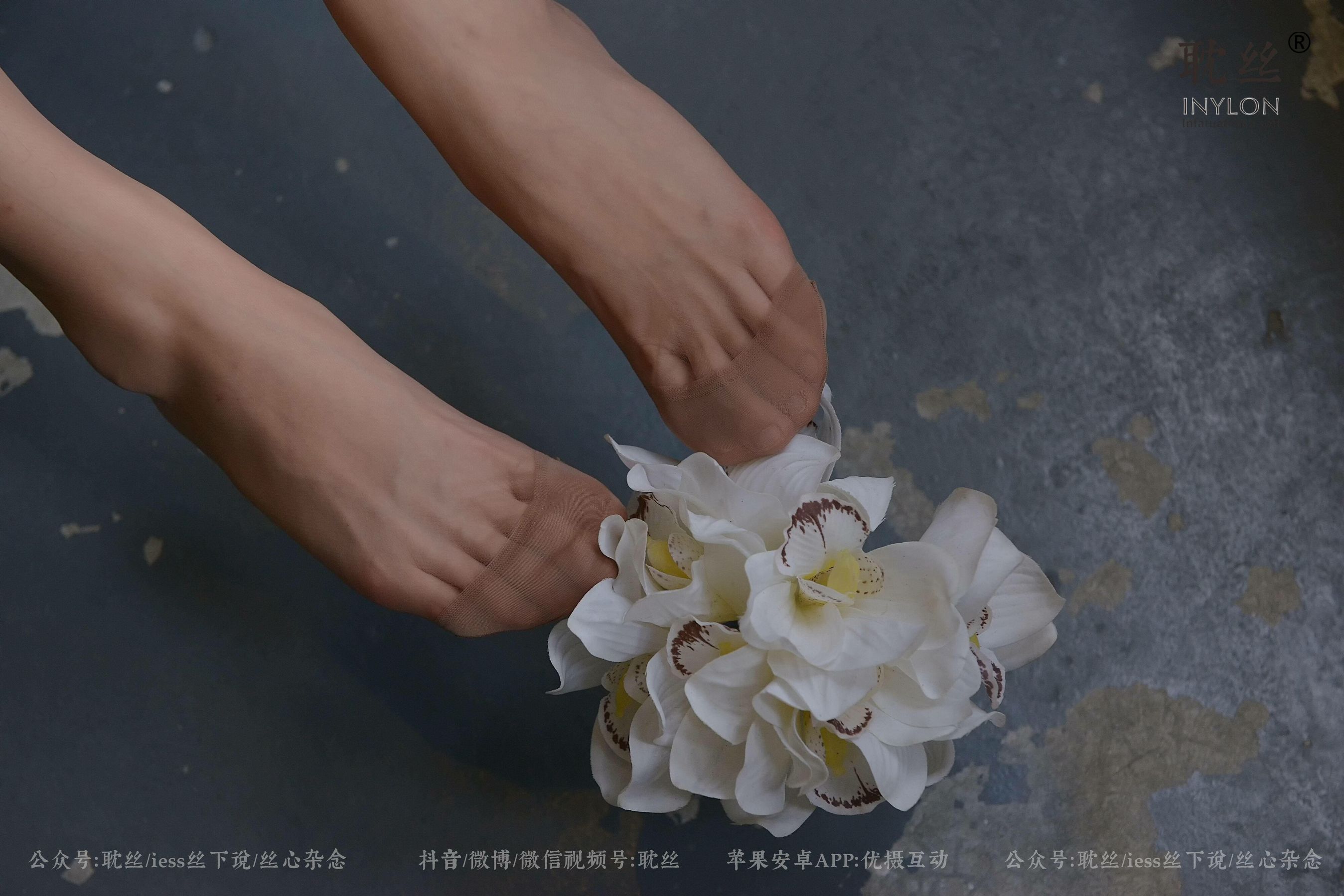 008 优雅的本色-图92