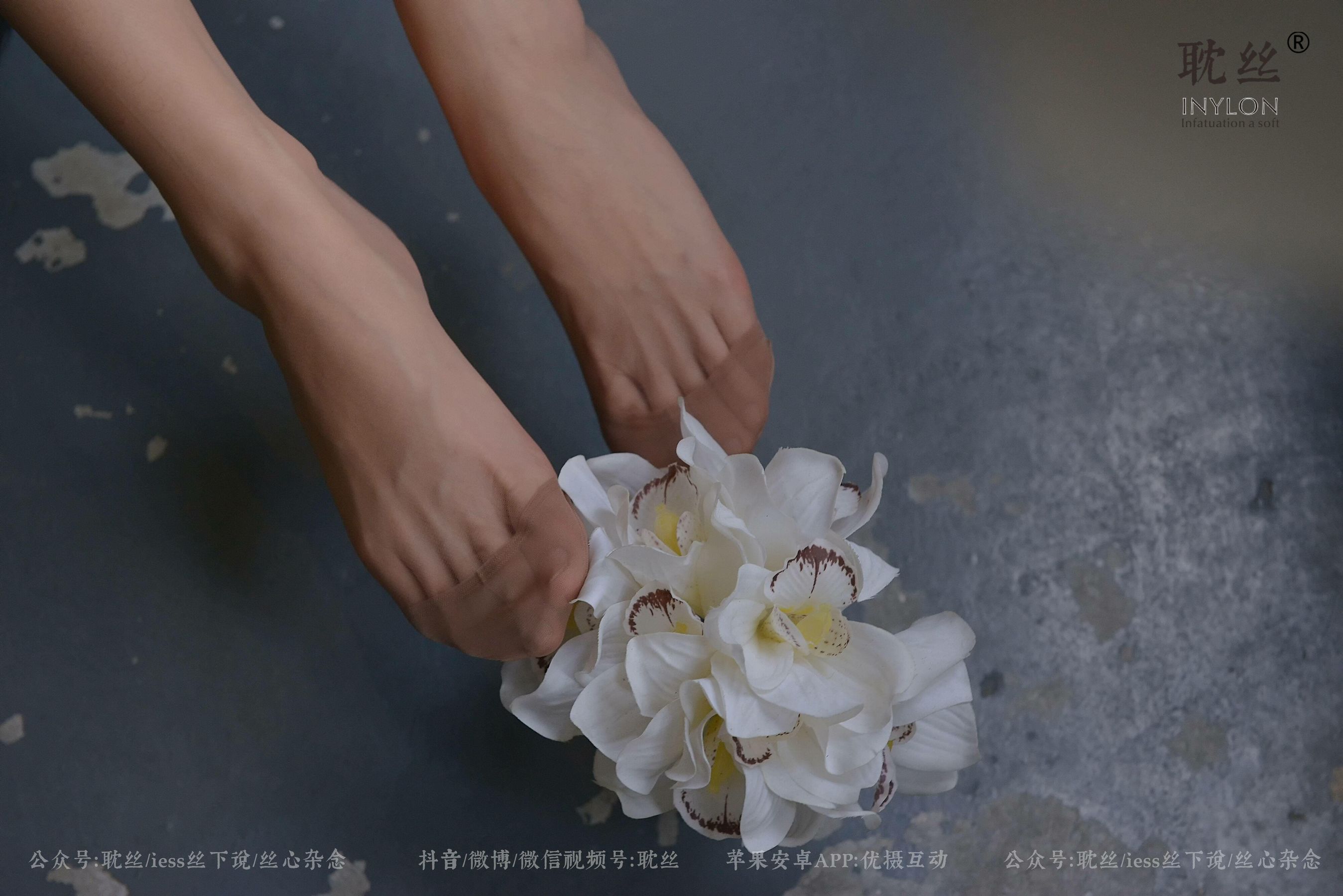 008 优雅的本色-图93