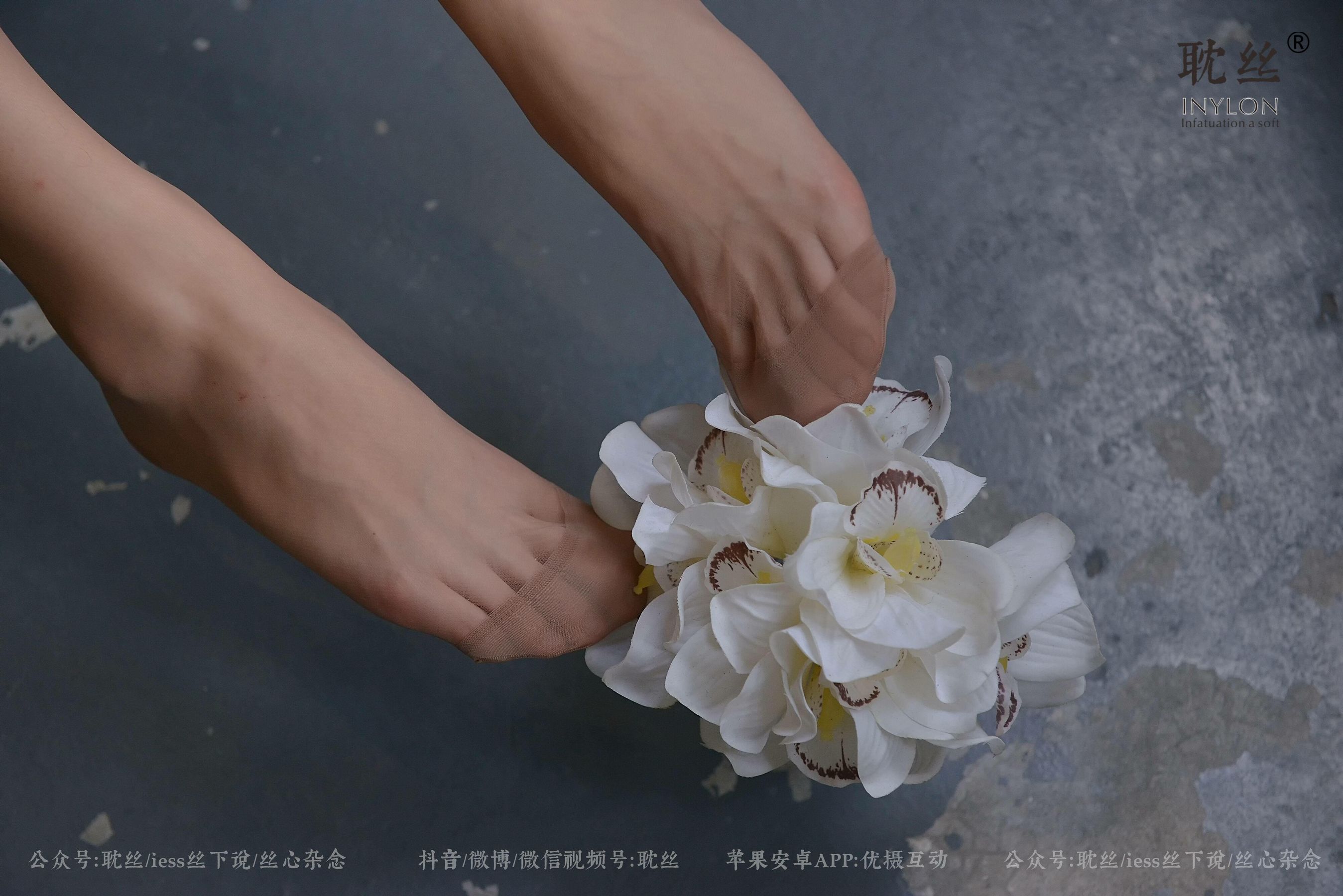 008 优雅的本色-图94