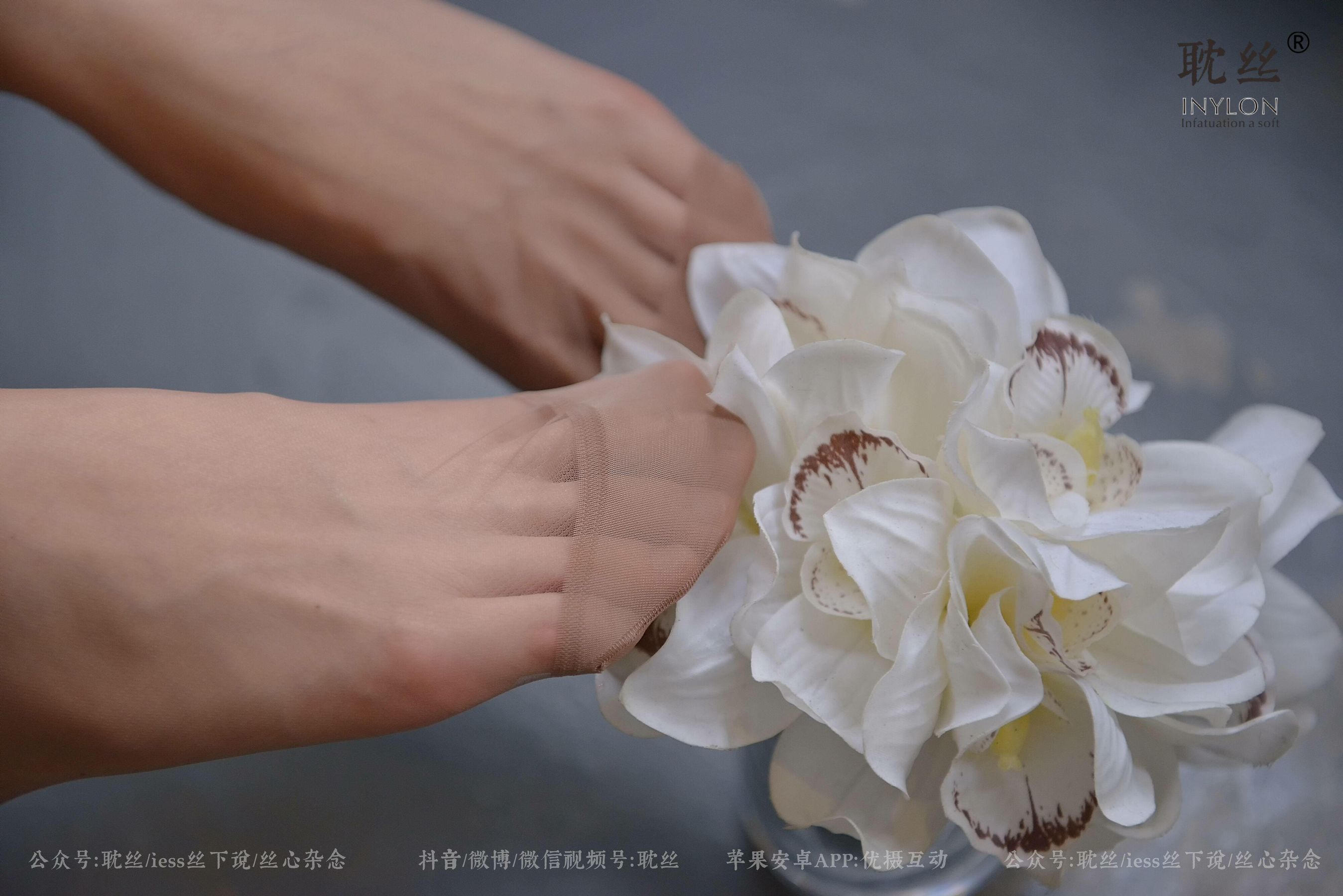 008 优雅的本色-图95