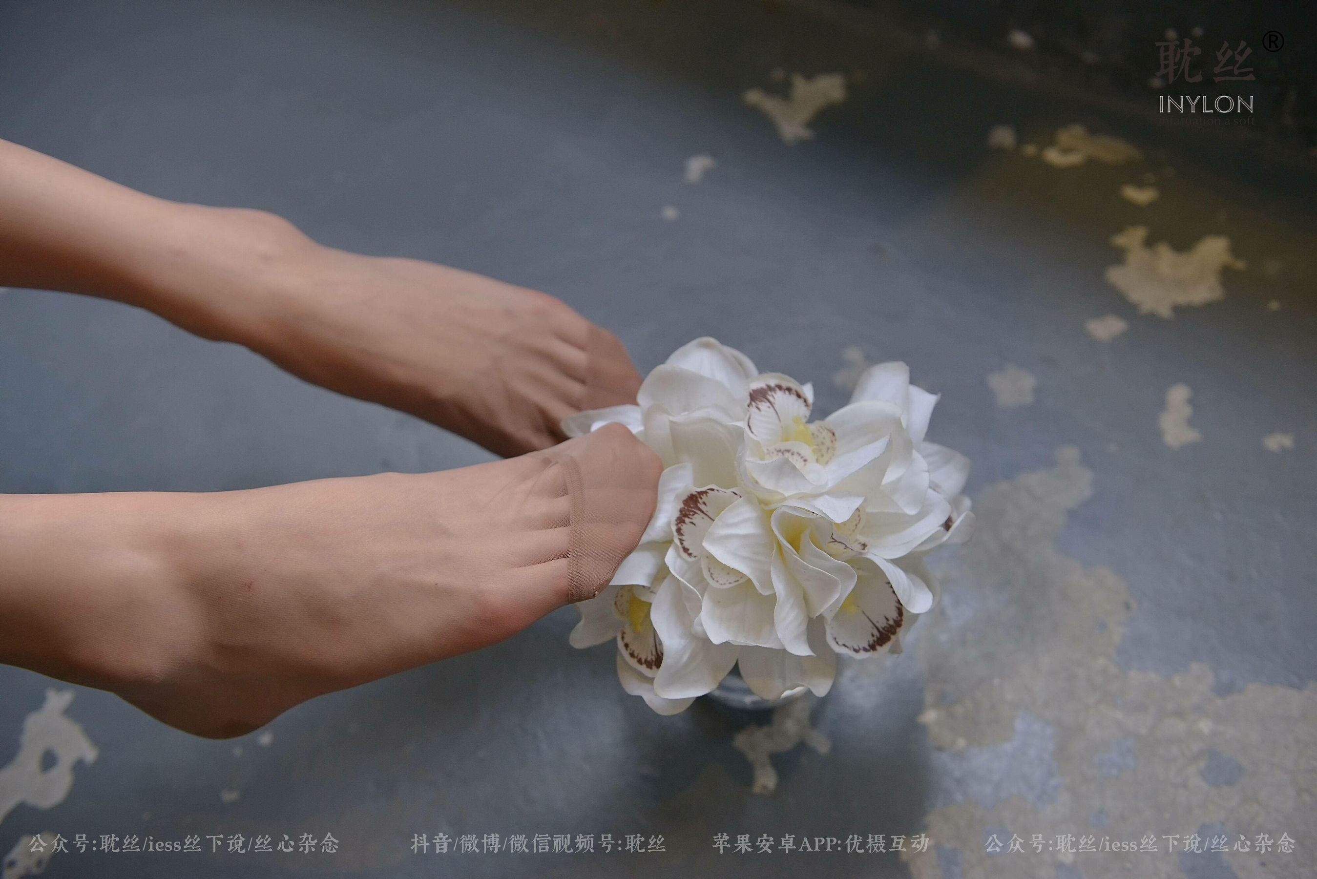 008 优雅的本色-图96