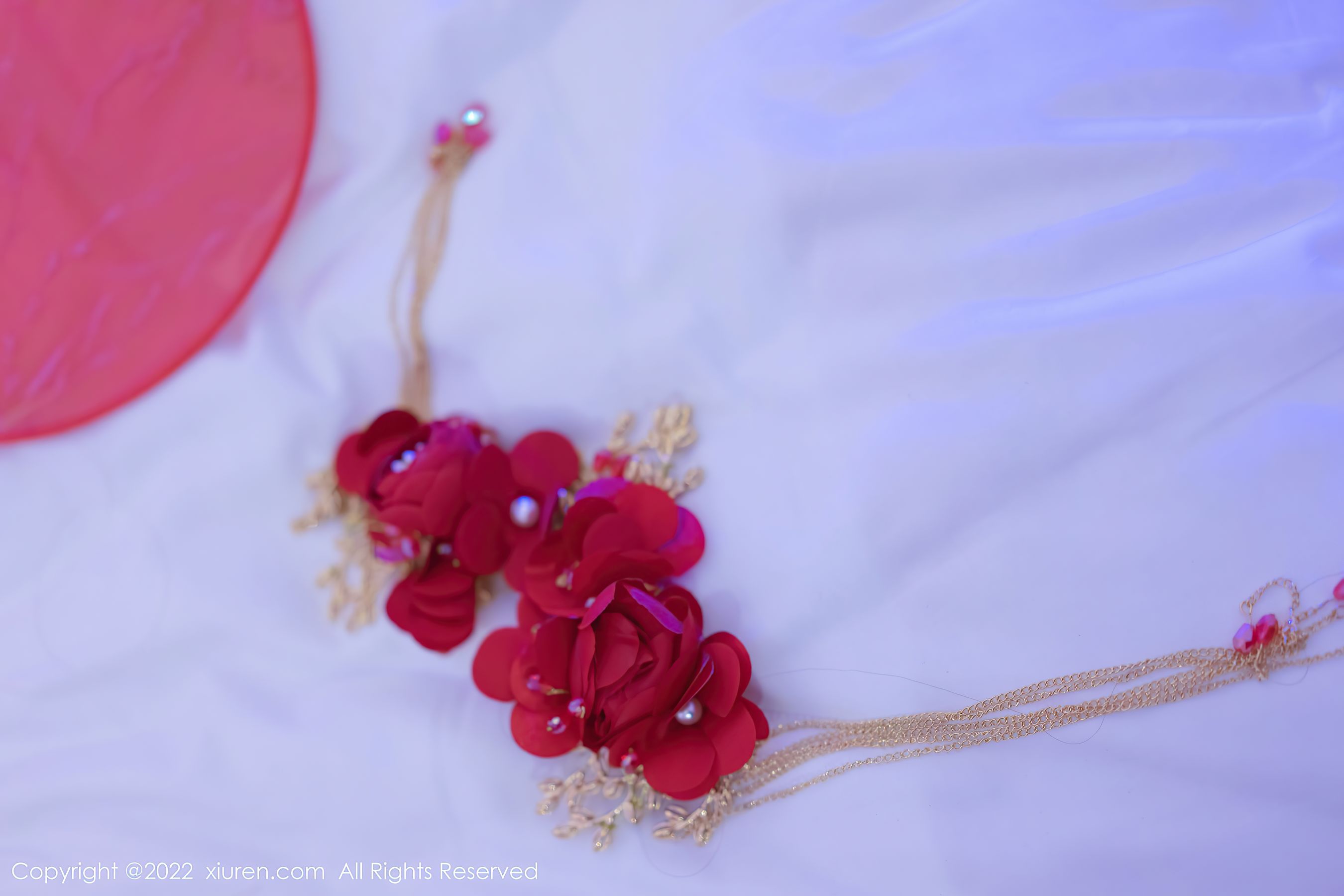 No.4586 王雨纯-图58